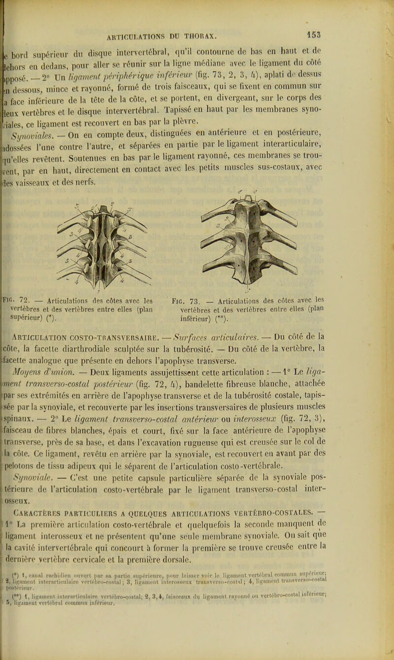 K bord supérieur du disque inlcrverlébral, qu'il contourne de bas en haut et de , liors en dedans, pour aller se réunir sur la ligne médiane avec le ligament du côté pposé. —2° Un ligament périphérique inférieur (fig. 73, 2, 3, ^i), aplati de dessus Il dessous, mince et rayonné, formé de trois faisceaux, qui se fixent en commun sur , lace inférieure de la tête de la côte, et se portent, en divergeant, sur le corps des t iiK vertèbres et le disque intervertébral. Tapissé en haut par les membranes syno- ialos, ce ligament est recouvert en bas par la plèvre. Synoviales. — On en compte deux, distinguées en antérieure et en postérieure, adossées l'une contre l'autre, et séparées en partie par le ligament interarlicuiaire, qu'elles revêtent. Soutenues en bas par le ligament rayonné, ces membranes se trou- vent, par en haut, directement en contact avec les petits muscles sus-costaux, avec des vaisseaux et des nerfs. Fin. 72. — Articulations des côtes avec les vertèbres et des vertèbres entre elles (plan supérieur) f). Fig. 73. — Articulations des côtes avec les vertèbres et des vertèbres entre elles (plan inférieur) (**). Articulation costo-transversaire. —Surfaces articulaires. — Du côté de la côte, la facette diarthrodiale sculptée sur la tubérosité. — Du côté de la vertèbre, la ifacette analogue que présente en dehors l'apophyse transverse. Moyens d'union. — Deux ligaments assujettissent cette articulation : — 1° Le liga- ment transverso-costal postérieur (fig. 72, 4), bandelette fibreuse blanche, attachée par ses extrémités en arrière de l'apophyse transverse et de la tubérosité costale, tapis- sée par la syno.viale, et recouverte par les insertions transversaires de plusieurs muscles spinaux. — 2° Le ligament transverso-costal antérieur ou interosseux (fig. 72, 3), faisceau de fibres blanches, épais et court, fixé sur la face antérieure de l'apophyse Iransverse, près de sa base, et dans l'excavation rugueuse qui est creu.soe sur le col de la côte. Ce ligament, revêtu en arrière par la synoviale, est recouvert en avant par des pelotons de ti.ssu adipeux qui le séparent de l'articulation costo-vertébrale. Synoviale. — C'est une petite capsule particulière séparée de la synoviale pos- térieure de l'articulation costo-vertébrale par le ligament transverso-costal inter- osseux. Caractères particuliers a quelques articulations veutébro-costales. — 1° La première articulation costo-verlébrale et quelquefois la seconde manquent de ligament interosseux et ne présentent qu'une seule membrane synoviale. On sait que la cavité intervertébrale qui concourt à former la première se trouve creusée entre la dernière vertèbre cervicale et la première dorsale. I*) l,cnnnl rarliidicn niiviii l imr su pnrlie sii(iùi'iniii'e, pour Inisser vnii- lu lignnionl veiti'bnil onimiinn siipi'noiir, 2, lignment internrtioiilaire verU-liru-costiil ; 3, ligniiioiit intoroasciix Irniisvcrso-nost'il ; 4, liRiinu'iil trniisvorBo-coslnl post^Ticiir. (**) 1, ligament intcrnrlic.iilnire vnrWbro-iîostal; 2, 3,4, fttisceoiix «lu lignment rayonné ou vei'tùbro-eostnl inruneui'i I 5, ligament verfi'!l)ral commun jnférieiu'.
