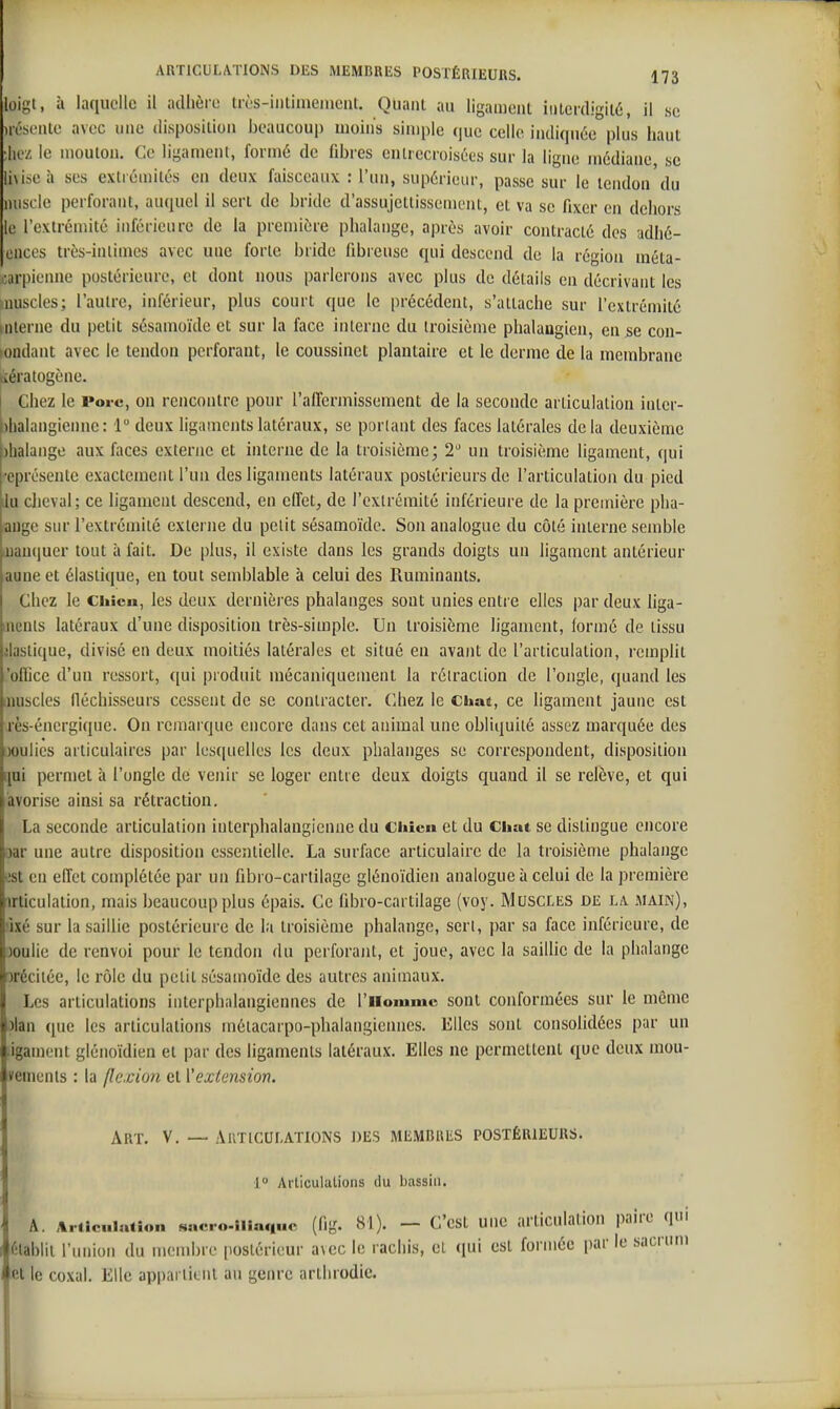 loigt, à laquelle il adlièro très-intiniemeiU, Quant au ligament iuterdigité, il se jiéïieale avec une disposition beaucoup moins siujple <|ue celle indiquée plus haut ;lie/. le mouton. Ce ligamenl, formé de fibres cnlrecroisées sur la ligne médiane se ii\iseà ses extrémités en deux faisceaux : l'un, supérieur, passe sur le tendon du nuscle perforant, auquel il sert de bride d'assujettissement, et va se fixer en dehors le l'extrémité inférieure de la première phalange, après avoir contracté des adhé- cnccs très-inlimes avec une forte bride fibreuse qui descend de la région méta- carpienne postérieure, et dont nous parlerons avec plus de détails en décrivant les muscles; l'autre, inférieur, plus court que le précédent, s'attache sur l'extrémité nilerne du petit sésamoïde et sur la face inlernc du troisième phalaagien, en 5e con- tondant avec le tendon perforant, le coussinet plantaire et le derme de la membrane kkératogène. Chez le Porc, on rencontre pour l'affermissement de la seconde articulation inter- Dhalangienne: 1 deux ligaments latéraux, se portant des faces latérales delà deuxième )halaiige aux faces externe et interne de la troisième; 2 un troisième ligament, qui •cprésente exactement l'un des ligaments latéraux postérieurs de l'articulation du pied iu cheval; ce ligamenl descend, en effet, de l'cxlrémité inférieure de la première pha- ange sur l'extrémité externe du petit sésamoïde. Son analogue du côté interne semble oiauqucr tout à fait. De plus, il existe dans les grands doigts un ligament antérieur aune et élastique, en tout send)lable à celui des Ruminants. Chez le Chien, les deux dernières phalanges sont unies entre elles par deux liga- ments latéraux d'une disposition très-simple. Un troisième ligament, formé de tissu ilastique, divisé en deux moitiés latérales et situé en avant de l'articulation, remplit 'office d'un ressort, qui produit mécaniquement la rétraction de l'ongle, quand les inuscles fléchisseurs cessent de se contracter. Chez le Chat, ce ligament jaune est xès-énergique. On remarque encore dans cet animal une obliquité assez marquée des jGulies articulaires par lesquelles les deux phalanges se correspondent, disposition [lui permet à l'ongle de venir se loger entre deux doigts quand il se relève, et qui avorise ainsi sa rétraction. La seconde articulation interphalangienne du chicn et du Chat se dislingue encore oar une autre disposition essentielle. La surface articulaire de la troisième phalange est en effet complétée par un fibro-carlilage glénoïdieii analogue à celui de la première irticulaiion, mais beaucoup plus épais. Ce fibro-carlilage (voy. Muscles de la. .main), !Îxé sur la saillie postérieure de la troisième phalange, sert, par sa face inférieure, de ooulie de renvoi pour le tendon du perforant, et joue, avec la saillie de la phalange oréciléc, le rôle du petit sésamoïde des autres animaux. Les articulations interphalangiennes de l'iloiume sont conformées sur le même alan que les articulations mélacarpo-phalangienncs. Elles sont consolidées par un .iganient glénoïdien et par des ligaments latéraux. Elles ne permettent que deux mou- vemenis : la flexion et l'extension. Art, V. — Articulations des membres postérieurs, 1 Articulations du bassin. A. ArtlcHlaiîon sacro.îiîaq.io, (fig. 81). — C'cst uiic articulation paire qui établit l'union du mcndjre [)ostéricur avec le racliis, el qui esl formée par le sacrum et le coxal. Elle appartient au genre arthrodic.