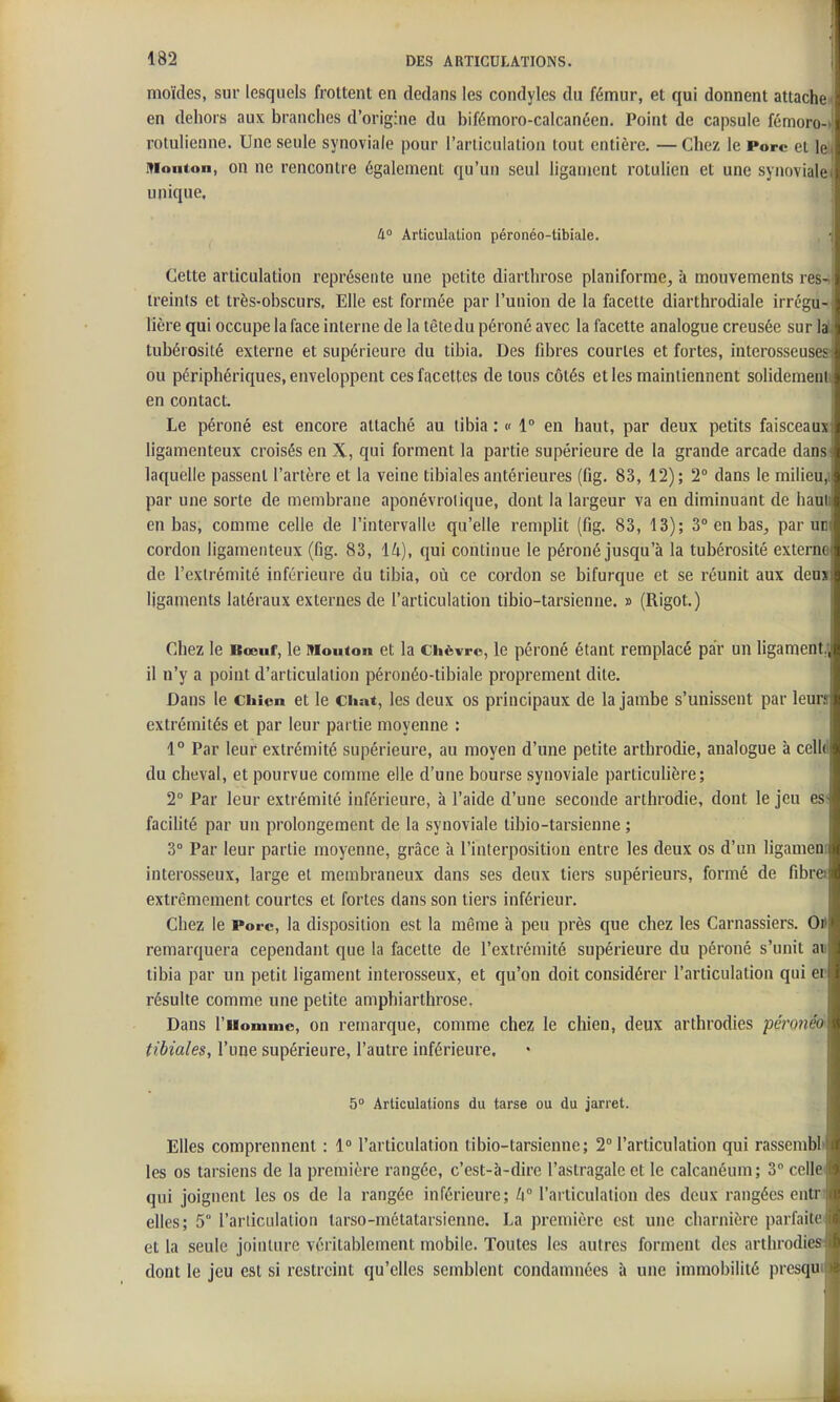 moitiés, sur lesquels frottent en dedans les condyles du fémur, et qui donnent attache- en dehors aux branches d'origine du bifémoro-calcanéen. Point de capsule fémoro-il rotulienne. Une seule synoviale pour l'articulation tout entière. —Chez le Porc et lel Mouton, on ne rencontre également qu'un seul ligament rotulien et une synoviale^ unique, li° Articulation péronéo-tibiale. Cette articulation représente une petite diarthrose planiforrae, à mouvements res-i treinls et très-obscurs. Elle est formée par l'union de la facette diarthrodiale irrégu-i lière qui occupe la face interne de la têtedu péroné avec la facette analogue creusée sur lal tubérosité externe et supérieure du tibia. Des fibres courtes et fortes, interosseusea ou périphériques, enveloppent ces facettes de tous côtés et les maintiennent solidement! en contact. ' Le péroné est encore attaché au tibia : « 1° en haut, par deux petits faisceaux ligamenteux croisés en X, qui forment la partie supérieure de la grande arcade dansi laquelle passent l'artère et la veine tibiales antérieures (fig. 83, 12); 2° dans le milieu,i par une sorte de membrane aponévrolique, dont la largeur va en diminuant de hauU en bas, comme celle de l'intervalle qu'elle remplit (fig. 83, 13); 3° en bas^ par uni cordon ligamenteux (fig. 83, lU), qui continue le péroné jusqu'à la tubérosité externe de l'extrémité inférieure du tibia, oii ce cordon se bifurque et se réunit aux deuï ligaments latéraux externes de l'articulation tibio-tarsienne. » (Rigot.) Chez le Bœuf, le Mouton et la Chèvre, le péroné étant remplacé par un ligament,! il n'y a point d'articulation péronéo-tibiale proprement dite. Dans le chien et le Chat, les deux os principaux de la jambe s'unissent par leuw extrémités et par leur partie moyenne : 1° Par leur extrémité supérieure, au moyen d'une petite arthrodie, analogue à celld du cheval, et pourvue comme elle d'une bourse synoviale particulière; 2° Par leur extrémité inférieure, à l'aide d'une seconde arthrodie, dont le jeu es' facilité par un prolongement de la synoviale tibio-tarsienne ; 3° Par leur partie moyenne, grâce à l'interposition entre les deux os d'un ligamenr interosseux, large et membraneux dans ses deux tiers supérieurs, formé de fibrei extrêmement courtes et fortes dans son tiers inférieur. Chez le Porc, la disposition est la même h peu près que chez les Carnassiers. Oi» remarquera cependant que la facette de l'extrémité supérieure du péroné s'unit an tibia par un petit ligament interosseux, et qu'on doit considérer l'articulation qui er résulte comme une petite amphiarthrose. Dans ruommc, on remarque, comme chez le chien, deux arthrodies -péronéo' tibiales, l'une supérieure, l'autre inférieure. 5° Articulations du tarse ou du jarret. Elles comprennent : 1° l'articulation tibio-tarsienne; 2° l'articulation qui rassemblt les os tarsiens de la première rangée, c'est-à-dire l'astragale et le calcanéum; 3 cellei qui joignent les os de la rangée inférieure; ^i l'articulation des deux rangées entri elles; 5 l'articiilation tarso-métatarsienne. La première est une charnière parfaitei et la seule jointure véritablement mobile. Toutes les autres forment des arthrodiesr dont le jeu est si restreint qu'elles semblent condamnées à une immobilité presqui