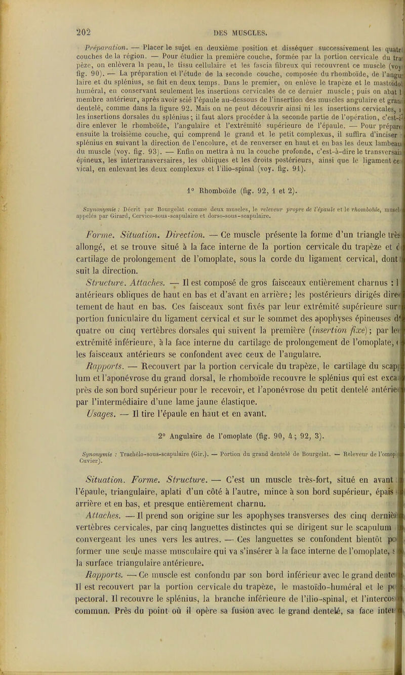 Préparation. — Placer le sujet en deuxième position et disséquer successivement les quatr. couches delà région. — Pour étudier la première couche, formée par la portion cervicale du tran pèze, on enlèvera la peau, le tissu cellulaire et les fascia fibreux qui recouvrent ce muscle (voy- iig. 90). — La préparation et l'étude de la seconde couche, composée du rhomboïde, de l'angiH laire et du splénius, se fait en deux temps. Dans le premier, on enlève le trapèze et le mastoïdol huméral, en conservant seulement les insertions cervicales de ce dernier muscle; puis on abat l membre antérieur, après avoir scié l'épaule au-dessous de l'insertion des muscles angulaire et graïui dentelé, comme dans la ligure 92. Mais on ne peut découvrir ainsi ni les insertions cervicales, i les insertions dorsales du splénius; il faut alors procéder à la seconde partie de l'opération, c'est-ï^ dire enlever le rhomboïde, l'angulaire et l'extrémité supérieure de l'épaule. — Pour prépara ensuite la troisième couche, qui comprend le grand et le petit complexus, il suffira d'inciser • splénius en suivant la direction de l'encolure, et de renverser en haut et en bas les deux lambeau du muscle (voy. fig. 93). — Enfin on mettra à nu la couche profonde, c'est-à-dire le transversai» épineux, les intertransversaires, les obliques et les droits postérieurs, ainsi que le ligament ce i vical, en enlevant les deux complexus et l'ilio-spinal (voy. fig. 91). 1» Rhomboïde (fig. 92, 1 et 2). i Szynonymie : Décrit pnr Bourgelnt comme deux muscles, le rekveur propre de l'épaule et le rhombotde, muscl i apjielés pur Girard, Cervico-sous-scapulaire et dorso-sous-soapulaire. Forme. Situation. Direction. — Ce muscle présente la foruie d'un triangle irèi- allongé, el se trouve situé à la face interne de la portion cervicale du trapèze et d cartilage de prolongement de l'omoplate, sous la corde du ligament cervical, dont( suit la direction. Structure. Attaches. — Il est composé de gros faisceaux entièrement charnus : 1 antérieurs obliques de haut en bas et d'avant en arrière; les postérieurs dirigés dire< tement de haut en bas. Ces faisceaux sont fixés par leur exlrémité supérieure suri portion funiculaire du ligament cervical et sur le sommet des apophyses épineuses d< quatre ou cinq vertèbres dorsales qui suivent la première [insertion fixe) ; par le> extrémité inférieure, à la face interne du cartilage de prolongement de l'omoplate, ( les faisceaux antérieurs se confondent avec ceux de l'angulaire. Rapports. — Recouvert par la portion cervicale du trapèze, le cartilage du scapi lum et l'aponévrose du grand dorsal, le rhomboïde recouvre le splénius qui est excaj près de son bord supérieur pour le recevoir, et Taponévrose du petit dentelé antérie™ par l'intermédiaire d'une lame jaune élastique. I Usages. — Il tire l'épaule en haut et en avant. I 2» Angulaire de l'omoplate (fig. 90, û; 92, 3). I Synonymie : Traohélo-sous-scapulaire (Gir.). — Portion du grand dentelé de Bourgclat. — Releveur de l'omop'iB Cavier). I Situation. Forme. Structure. — C'est un muscle très-fort, situé en avant l'épaule, triangulaire, aplati d'un côté à l'autre, mince à son bord supérieur, épais m arrière et en bas, et presque entièrement charnu. m Attaches. — Il prend son origine sur les apophyses irausverscs des cinq dernièA vertèbres cervicales, par cinq languettes distinctes qui se dirigent sur le scapulura <l| convergeant les unes vers les autres. — Ces languettes se confondent bientôt pam former une seuje masse musculaire qui va s'insérer à la face interne de l'omoplate, fU, la surface triangulaire antérieure. Rapports. —^Ce muscle est confondu par son bord inférieur avec le grand dentetA 11 est recouvert par la portion cervicale du trapèze, le masloïdo-huméral et le p(A, pectoral. Il recouvre le splénius, la branche inférieure de l'ilio-spinal, et l'intercosM commun. Près du point où il opère sa fusion avec le grand dentelé, sa face inteiA
