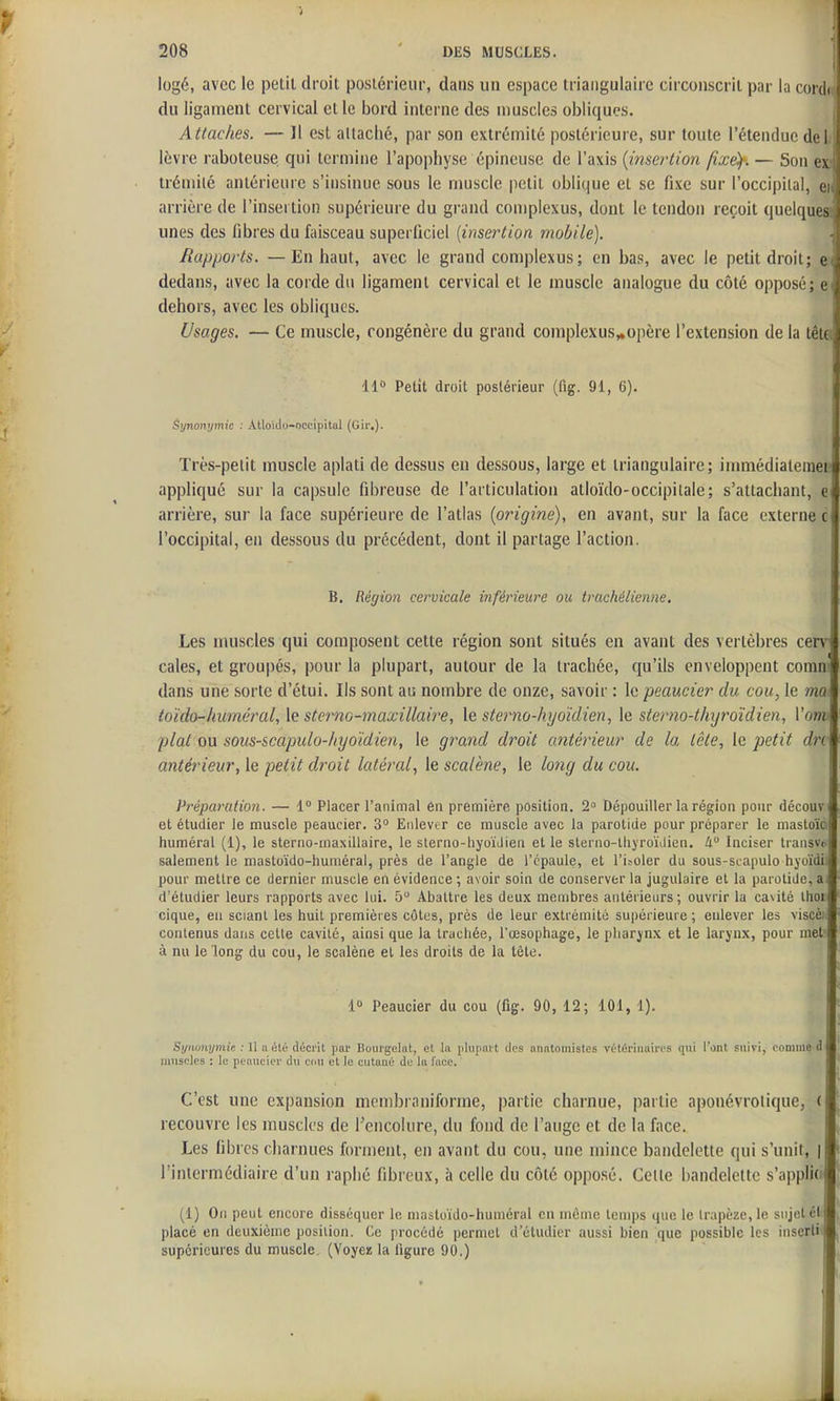 logé, avec le petit droit postérieur, dans un espace triangulaire circonscrit par la covdu du ligament cervical et le bord interne des muscles obliques. ^ Attaches. — Il est attaché, par son extrémité postérieure, sur toute l'étendue del, lèvre raboteuse qui termine l'apophyse épineuse de l'axis {i7îscrtion fixé)-. — Son ex; tréniilé antérieure s'insinue sous le muscle jietit oblique et se fixe sur l'occipital, eh arrière de l'insertion supérieure du grand complexus, dont le tendon reçoit quelques unes des fibres du faisceau superficiel [insertion mobile). Rapports. — En haut, avec le grand complexus; en bas, avec le petit droit; e;i dedans, avec la corde du ligament cervical et le muscle analogue du côté opposé; dehors, avec les obliques. Usages. — Ce muscle, congénère du grand coniplexus,»opère l'extension de la têta 11 Petit droit postérieur (fig. 91, 6). Synonymie : Atloïciu-occipital (Gir.). Très-petit muscle aplati de dessus en dessous, large et triangulaire; innnédiatemeE appliqué sur la capsule fibreuse de l'articulation atloïdo-occipilale; s'atlachant, e arrière, sur la face supérieure de l'atlas (origine), en avant, sur la face externe c l'occipital, en dessous du précédent, dont il partage l'action. B. Région cervicale inférieure ou trachélienne. Les muscles qui composent cette région sont situés en avant des vertèbres cerv cales, et groupés, pour la plupart, autour de la trachée, qu'ils enveloppent comni dans une sorte d'étui. Ils sont au nombre de onze, savoir : le peaucier du cou, le ma toïdo-huméral, le stcmo-maxillaii^e, le sterno-hyoïdien, le sterno-thxjroïdien. Vomi plat m sous-scapulo-hyoïdien, le grand droit cmtérieur de la tête, le petit dn antérieur, le petit droit latéral, le scalène, le lo}ig du cou. Préparation. — 1 Placer l'animal en première position. 2 Dépouiller la région pour découv et étudier le muscle peaucier. 3° Enlever ce muscle avec la parotide pour préparer le mastoïc huméral (1), le sterno-maxillaire, le sterno-hyoïJien et le slerno-tlijroïJien. h Inciser transvt salement le mastoïdo-huméral, près de l'angle de l'cpaule, et l'i^oler du sous-scapulo hyoïdi. pour mettre ce dernier muscle en évidence ; avoir soin de conserver la jugulaire et la parotide, a d'étudier leurs rapports avec lui. 5 Abattre les deux membres antérieurs; ouvrir la cavité Ihoi cique, en sciant les huit premières côtes, près de leur extrémité supérieure ; enlever les viscèi. contenus dans cette cavité, ainsi que la trachée, l'œsophage, le pliarjnx et le larynx, pour met' à nu le long du cou, le scalène et les droits de la tête. 1 Peaucier du cou (fig. 90, 12; 101, 1). Syiwnymie : Il a été décrit par Bourgelat, et la pliipai t des nrintomistes vétérinaires qui l'ont suivi, comme i muscles : le peaucier du edu et le cutaué de la face. C'est une expansion membrnniforme, partie charnue, partie aponévrotique, ( recouvre les muscles de Tencolure, du fond de l'auge et de la face. Les fibres charnues forment, en avant du cou, une mince bandelette qui s'unit, | l'intermédiaii-e d'un raphé fibreux, à celle du côté opposé. Celle bandelette s'applio (1) On peut encore disséquer le mastoïdo-huméral en môme temps que le trapèze, le sujet ét placé en deuxième position. Ce procédé permet d'étudier aussi bien que possible les inserti supérieures du muscle. (Voyez la figure 90.)