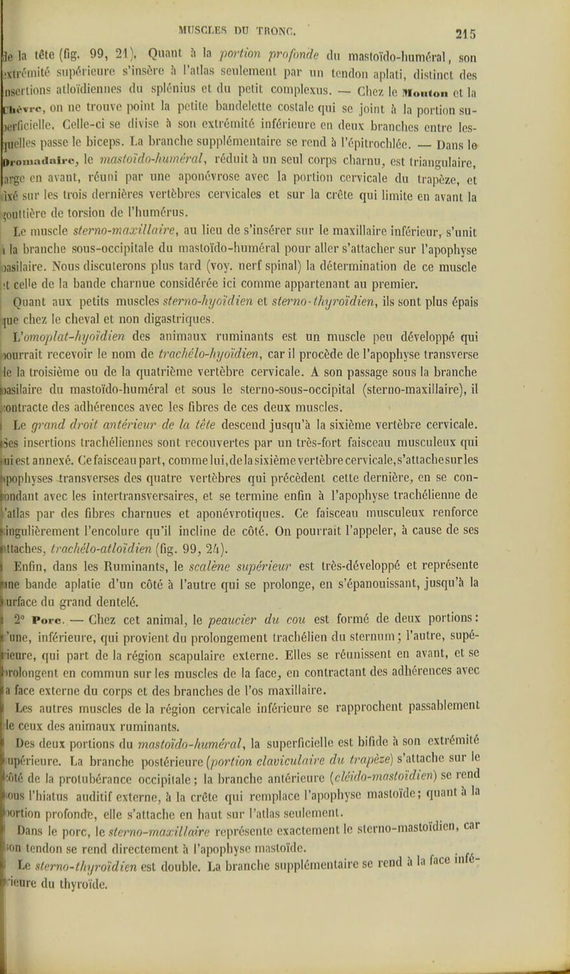 le la tÔte(fig. 99, 21). Quant l\ la portion profonde du maRtoïdo-luimùral, son jxtiTmité supôricuro s'insoro .'i l'allas seulemeni par un tendon aplati, distinct des iisci lions alloïdienncs du splénius et du petit complcxns. Chez le Mouton et la [hovrc, on ne trouve point la petite bandelette costale qui se joint .'i la portion su- jurliciellc. Celle-ci se divise îi son extrémité inférieure en deux branches entre Ics- luolles passe le biceps. La branche supplémentaire se rend b l'épitrochlée. Dans le l}i-oiuadniro^ le mastoïclo-huméral, réduit h un seul corps charnu, est triangulaire, argc en avant, réuni par une aponévrose avec la portion cervicale du trapèze, et ,ixé snr les trois dernières vertèbres cervicales et sur la crête qui limite en avant la joultière de torsion de l'humérus. I Le muscle sterno-maxillaire, au lieu de s'insérer sur le maxillaire inférieur, s'unit '\ la branche sous-occipitale du masloïdo-huméral pour aller s'attacher sur l'apophyse )asilaire. Nous discuterons plus tard (voy. nerf spinal) la détermination de ce muscle !t celle de la bande charnue considérée ici comme appartenant au premier. Quant aux petits mwsdefi sterno-hyoïdien et stei^no-thyroïdien, ils sont plus épais ijue chez le cheval et non digastriques. j Vomoplat-hyo'idien des animaux ruminants est un muscle peu développé qui pourrait recevoir le nom de trachélo-hyoïdien, car il procède de l'apophyse iransverse le la troisième ou de la quatrième vertèbre cervicale. A son passage sous la branche ^asilaire du mastoïdo-huméral et sous le sterno-sous-occipital (sterno-maxillaire), il contracte des adhérences avec les fibres de ces deux muscles. Le grand droit antérieur de la tête descend jusqu'à la sixième vertèbre cervicale, îes insertions trachéliennes sont recouvertes par un très-fort faisceau musculeux qui j,ui est annexé. Ce faisceau part, commelui,de la sixième vertèbre cervicale,s'attachesurles kipophyses -transverses des quatre vertèbres qui précèdent cette dernière, en se con- tondant avec les intertransversaires, et se termine enfin à l'apophyse trachélienne de l'atlas par des fibres charnues et aponévrotiques. Ce faisceau musculeux renforce i.ingulièrement l'encolnre qu'il incline de côté. On pourrait l'appeler, à cause de ses jmtachcSj trachélo-atloïdien (fig. 99, 1h). I Enfin, dans les Ruminants, le scalène supérieur est très-développé et représente Hine bande aplatie d'un côté à l'autre qui se prolonge, en s'épanouissant, jusqu'à la i urface du grand dentelé. ^ 2° Porc. — Chez cet animal, le peaucier du cou est formé de deux portions: ï 'une, inférieure, qui provient du prolongement [rachélien du sternum ; l'autre, supé- b ieure, qui part de la région scapulaire externe. Elles se réunissent en avant, et se irolongent en commun sur les muscles de la face, en contractant des adhérences avec a face externe du corps et des branches de l'os maxillaire. Les autres muscles de la région cervicale inférieure se rapprochent passablement le ceux des animaux ruminants. Des deux portions du mastoïdo-huméral, la superficielle est bifide à son extrémité upérieure. La branche postérieure {portion claviculaire du trapèze) s'attache sur le :ôté de la protubérance occipitale; la branche antérieure {cléido-mastoïdien) se rend •eus l'hiatus auditif externe, à la crête qui remplace l'apophyse masloïdc; quant à la lortion profonde, elle s'attache en haut sur l'allas seulement. Dans le porc, \c sterno-maxillaire représente exactement le stcrno-mastoïdicn, car ion tendon se rend directement à l'apophyse mastoïde. Le sterno-thyroïdien est double. La branche supplémentaire se rend à la face mfé- ieure du thyroïde.