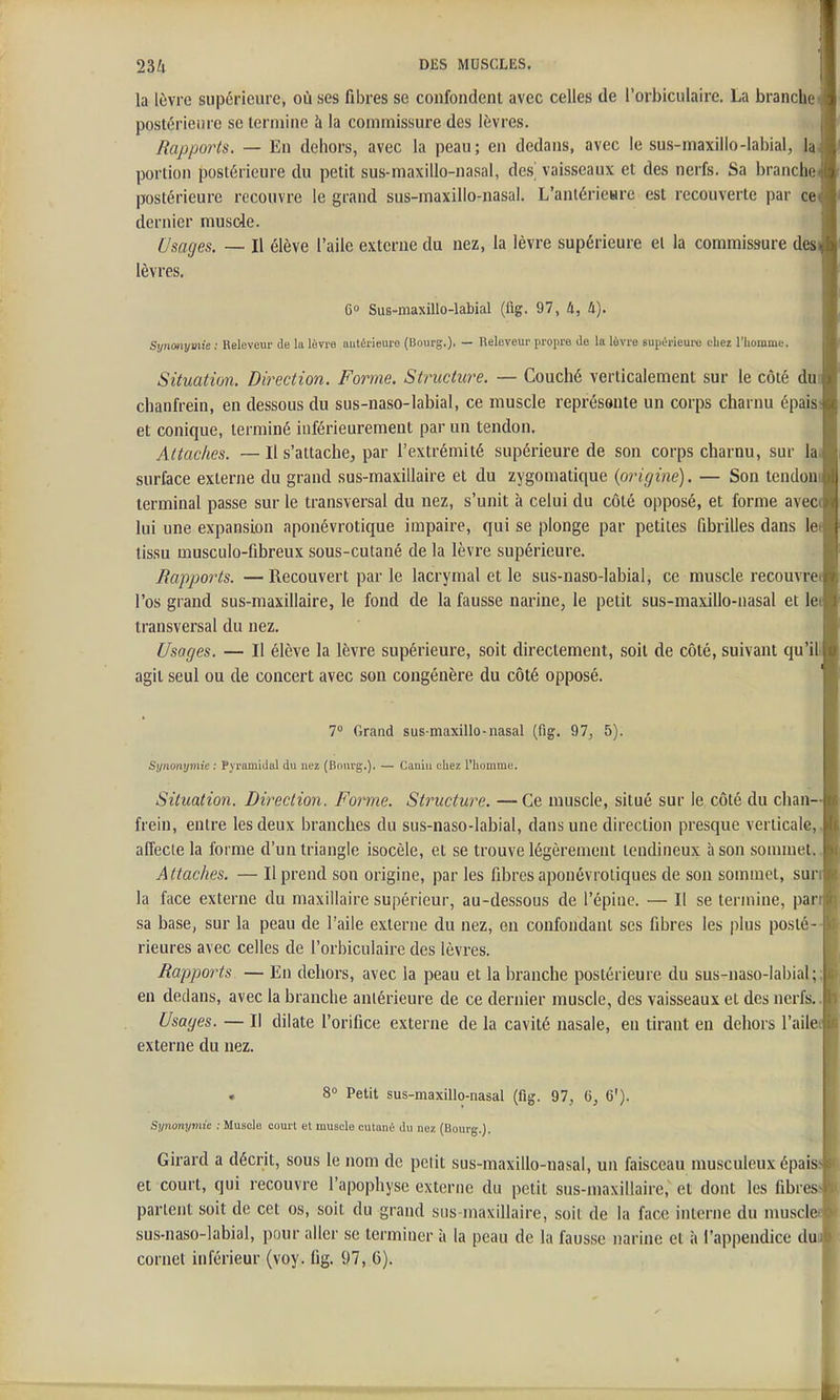 la lèvre supérieure, où ses fibres se confondent avec celles de l'orbiculaire. La branche postérienre se termine à la commissure des lèvres. Rapports. — En dehors, avec la peau; en dedans, avec le sus-maxillo-labial, la portion postérieure du petit sus-maxillo-nasal, de.s' vaisseaux et des nerfs. Sa branche postérieure recouvre le grand sus-maxillo-nasal. L'aniérieure est recouverte par ce dernier muscle. Usages. — Il élève l'aile externe du nez, la lèvre supérieure ei la commissure dœ lèvres. 6» Sus-maxillo-labial (fig. 97, 4, 4). Synonymie ; Releveur de la lèvro antérieui'o (Bourg.)- — Releveur propre de la lôvre Bupérieui-o chez l'homme. Situation. Direction. Forme. Structure. — Couché verticalement sur le côté du chanfrein, en dessous du sus-naso-labial, ce muscle représente un corps charnu épais et conique, terminé inférieurement par un tendon. Attaches. — Il s'attache^ par l'extrémité supérieure de son corps charnu, sur la surface externe du grand sus-maxillaire et du zygomatique {origine). — Son tendon terminal passe sur le transversal du nez, s'unit à celui du côté opposé, et forme avec lui une expansion aponévrotique impaire, qui se plonge par petites fibrilles dans le tissu musculo-fibreux sous-cutané de la lèvre supérieure. Rapports. — Recouvert par le lacrymal et le sus-naso-labial, ce muscle recouvre l'os grand sus-maxillaire, le fond de la fausse narine, le petit sus-maxillo-nasal et le transversal du nez. Usages. — Il élève la lèvre supérieure, soit directement, soil de côté, suivant qu'il agit seul ou de concert avec son congénère du côté opposé. 7° Grand sus-maxillo-nasal (fig. 97, 5). Synonymie : Pyramidal du nez (Bourg.). — Canin chez l'homme. Situation. Direction. Forme. Structure. —Ce muscle, situé sur le côté du chan- frein, entre les deux branches du sus-naso-labial, dans une direction presque verticale, affecte la forme d'un triangle isocèle, et se trouve légèrement tendineux à son sommet.. Attaches. — Il prend son origine, par les fibres apouévroliques de son sommet, sur la face externe du maxillaire supérieur, au-dessous de l'épine. — Il se termine, par sa base, sur la peau de l'aile externe du nez, en confondant ses fibres les plus posté rieures avec celles de l'orbiculaire des lèvres. Rapports — Eu dehors, avec la peau et la branche postérieure du sus-naso-labial;' en dedans, avec la branche anlérieure de ce dernier muscle, des vaisseaux et des nerfs.. Usages. — Il dilate l'orifice externe de la cavité nasale, en tirant en dehors l'aile externe du nez. 8° Petit sus-maxillo-nasal (fig. 97, 6, C). Synonymie : Muscle court et muscle cutané du nez (Bourg.). Girard a décrit, sous le nom de pciit sus-maxillo-nasal, un faisceau musculeux épai et court, qui recouvre l'apophyse externe du petit sus-maxillaire, et dont les fibr parlent soit de cet os, soit du grand sus-maxillaire, soil de la face interne du muscl sus-naso-labial, pour aller se terminer à la peau de la fausse narine et à l'appendice du cornet inférieur (voy. fig. 97, G).