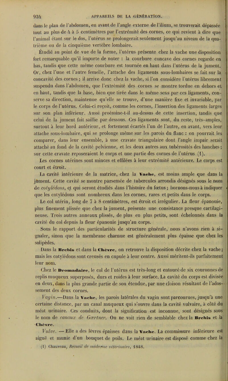 dans le plan de l'abdomen, en avant de l'angle externe de l'ilium, se trouverait dépassée tout au plus de kk 5 centimètres par l'extrémité des cornes, ce qui revient à dire que l'animal étant sur le dos, l'ulérus se prolongerait seulement jusqu'au niveau de la qua- trième ou de la cinquième verlèbre lombaire. Étudié au point de vue de la forme, l'ulérus présente chez la vache une disposition fort remarquable qu'il importe de noter : la courbure concave des cornes regarde en bas, tandis que cette même courbure est tournée en haut dans l'utérus de la jument. Or, chez l'une et l'autre femelle, l'attache des ligaments sous-lombaires se fait sur la concavité des cornes ; il arrive donc chez la vache, si l'on considère l'utérus librement suspendu dans l'abdomen, que l'extrémité des cornes se montre tordue en dehors et en haut, tandis que la base, bien que tirée dans le même sens par ces ligaments, con- serve sa direction, maintenue qu'elle se trouve, d'une manière fixe et invariable, par le corps de l'utérus. Celui-ci reçoit, comme les cornes, l'insertion des ligaments larges sur son plan inférieur. Aussi proémine-t-il au-dessus de cette insertion, tandis que celui de la jument fait saillie par dessous. Ces ligaments sont, du reste, très-amples, surtout à leur bord antérieur, et fortement écartés l'un de l'autre, eu avant, vers leur attache sous-lorabaire, qui se prolonge même sur les parois du flanc : on pourrait les comparer, dans leur ensemble, à une cravate triangulaire dont l'angle impair secait attaché au fond de la cavité pelvienne, et les deux autres aux tubérosités des hanches ; sur cette cravate reposeraient le corps et une partie des cornes de l'utérus (1). Les cornes utérines sont minces et effilées à leur extrémité antérieure. Le corps est court et étroit. La cavité intérieure de la matrice, chez la Vache, est moins ample que dans la jtiment. Cette cavité se montre parsemée de tubercules arrondis désignés sous le nom de cotylédons, e.t qui seront étudiés dans l'histoire du fœtus; bornons-nous à indiquer que les cotylédons sont nombreux dans les cornes, rares et petits dans le corps. Le col utérin, long de 7 à 8 centimètres, est étroit et irrégulier. La fleur épanouie, plus finement plissée que chez la jument, présente une consistance presque cartilagi- neuse. Trois autres anneaux plissés, de plus en plus petits, sont échelonnés dans la cavité du col depuis la fleur épanouie jusqu'au corps. Sous le rapport des particularités de structure générale, nous n'avons rien à si- gnaler, sinon que la membrane charnue est généralement plus épaisse que chez les solipèdes. Dans la Brebis et dans la Chèvre, on retrouve la disposition décrite chez la vache; mais les cotylédons sont creusés en cupule à leur centre. Aussi méritent-ils parfaitement leur nom. , Chez le Dromadaire, le col de l'utérus est très-long et entouré de six couronnes de replis muqueux superposés, durs et roides à leur surface. La cavité du corps est divisée en deux, dans la plus grande partie de son étendue, par une cloison résultant de l'ados- sèment des deux cornes. Vagin.—Dans la Vache, les parois latérales du vagin sont parcourues, jusqu'à une certaine distance, par un canal muqueux qui s'ouvre dans la cavité vulvaire, à côté du méat urinaire. Ces conduits, dont la signification est inconnue, sont désignés sous le nom de canaux de Gœrtner. On ne voit rien de semblable chez la Brebis et la Chèvre. Vulve. — Elle a des lèvres épaisses dans la Vache. La commissure inférieure est aiguë et munie d'un bouquet de poils. Le méat urinaire est disposé comme chez la (1) ChauveaUj Recueil de médecine vétérinaire, 1848.