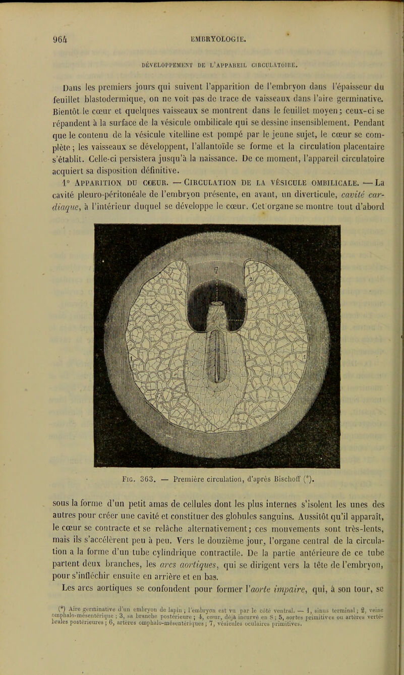 DÊVELOPPEMKNT DE I.'AI'PMIEIL ClRCULATOinE. Dans les premiers jours qui suivent l'apparition de l'embryon dans l'épaisseur du feuillet blastodermique, on ne voit pas de trace de vaisseaux dans l'aire germinaiive. Bientôt le cœur et quelques vaisseaux se montrent dans le feuillet moyen; ceux-ci se répandent à la surface de la vésicule ombilicale qui se dessine insensiblement. Pendant que le contenu de la vésicule vitelline est pompé par le jeune sujet, le cœur se com- plète ; les vaisseaux se développent, l'allantoïde se forme et la circulation placentaire s'établit. Celle-ci persistera jusqu'à la naissance. De ce moment, l'appareil circulatoire acquiert sa disposition définitive. 1° Apparition du cceur. — Circulation de la vésicule ombilicale. *—La cavité pleuro-péritonéale de l'enjbryon présente, en avant, un diverticule, cavité ca?- diaque, à l'intérieur duquel se développe le cœur. Cet organe se montre tout d'abord FiG. 3G3. — Première circulation, d'après Bisclioff (*), sous la forme d'un petit amas de cellules dont les plus internes s'isolent les unes des autres pour créer une cavité et constituer des globules sanguins. Aussitôt qu'il apparaît, le cœur se contracte et se relâche alternativement; ces mouvements sont très-lents, mais ils s'accélèrent peu à peu. Vers le douzième jour, l'organe central de la circula- tion a la forme d'un tube cylindrique contractile. De la partie antérieure de ce tube partent deux branches, les arcs aortiques, qui se dirigent vers la tête de l'embryon, pour s'infléchir ensuite en arrière et en bas. Les arcs aortiques se confondent pour former Vaorte impaire, qui, à son tour, se (*) Aire gerininative d'un embryon de lapin ; l'embryon est vu pnr le lmIu venlral. — I, sinn.- tcrminol ; 2, veine mnphalo-mésenténiiue ; 3, sa branche postérieure ; i, co'iir, déjà incurvé en S ; 5, aortes primitivei: ou artères verté- brales postérieures; C, artères ouipbalo-mébentérii|ueB; 7, vésie'ulcs oculaires primitives.