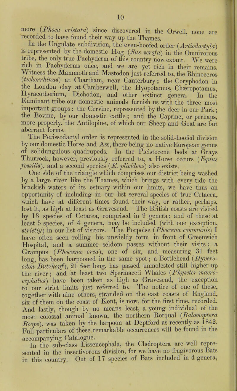 more {Phoca cristata) since discovered in the Orwell, none are recorded to have found their way up the Thames. _ In the Ungulate subdivision, the even-hoofed order {Artiodactyla) IS represented by the domestic Hog {Sus scrofa) in the Omnivorous tribe, the only true Pachyderm of this country now extant. We were rich in Pachyderms orice, and we are yet rich in their remains. Witness the Mammoth and Mastodon just referred to, the Rhinoceros {tiehorrUnus) at Chartham, near Canterbury; the Coryphodon in the London clay at Camberwell, the Hyopotamus, Cliaeropotamus, Hyracotherium, Dichodon, and other extinct genera. In the Ruminant tribe our domestic animals furnish us with the three most important groups: the Cervine, represented by the deer in our Park; the Bovine, by our domestic cattle; and the Caprine, or perhaps, more properly, the Antilopine, of which our Sheep and Goat are but aberrant forms. The Perissodactyl order is represented in the solid-hoofed division by our domestic Horse and Ass, there being no native European genus of solidungulous quadrupeds. In the Pleistocene beds at Grays Thurrock, however, previously referred to, a Horse occurs [Equus fossilis), and a second species {E. plieidens) also exists. One side of the triangle which comprises our district being washed by a large river like the Thames, which brings with every tide the brackish waters of its estuary within our limits, we have thus an opportunity of including in our list several species of true Cetacea, which have at different times found their way, or rather, perhaps, lost it, as high at least as Gravesend. The British coasts are visited by 13 species of Cetacea, comprised in 9 genera; and of these at least 5 species, of 4 genera, may be included (with one exception, strictly) in our list of visitors. The Porpoise {Phoccena communis) I have often seen rolling his unwieldy form in front of Greenwich Hospital, and a summer seldom passes without their visits; a Grampus {Phoccma orca), one of six, and measuring 31 feet long, has been harpooned in the same spot; a Bottlehead {Hypero- odon Butzhopf), 21 feet long, has passed unmolested still higher up the river; and at least two Spermaceti Whales {Physeter macro- cephalus) have been taken as high as Gravesend, the exception to our strict limits just referred to. The notice of one of these, together with nine others, stranded on the east coasts of England, six of them on the coast of Kent, is now, for the first time, recorded. And lastly, though by no means least, a young individual of the most colossal animal known, the northern Rorqual {Balcenoptera Boops), was taken by the harpoon at Deptford as recently as 1842. Full particulars of these remarkable occurrences will be found in the accompanying Catalogue. In the sub-class Lissencephala, the Cheiroptera are well repre- sented in the insectivorous division, for we have no frugivorous Bats in this country. Out of 17 species of Bats included in 4 genera,