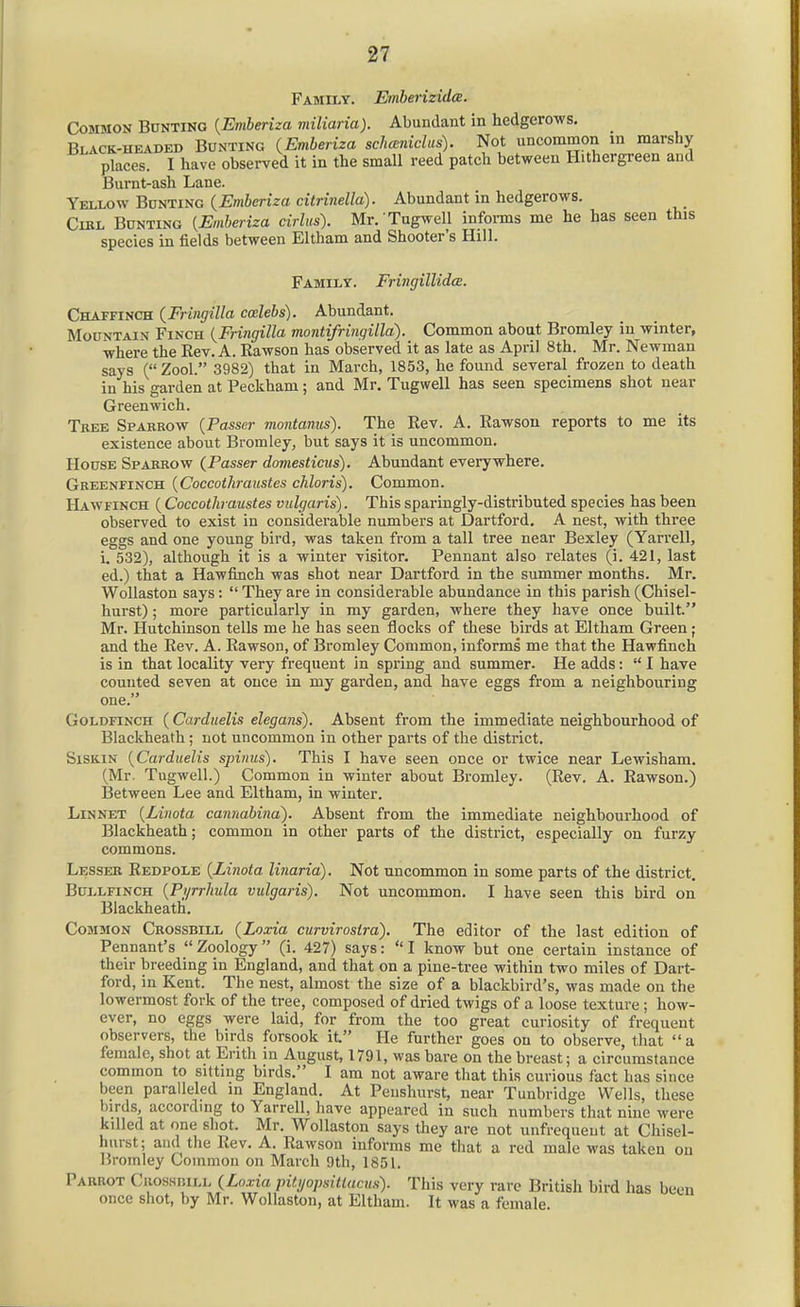 Family. Ember izidce. Common Bunting {Emberiza viiltaria). Abundant in hedgerows. Black-headed Bunting {Emberiza schceniclus). Not uncommon in marshy places. I have observed it in the small reed patch between Hithergreen and Burnt-ash Lane. Yellow Bunting {Emberiza citrinella). Abundant in hedgerows. CiRL Bunting {Emberiza cirlus). Mr. Tugwell informs me he has seen this species in fields between Eltham and Shooter's Hill. Family. Fringillida. Chaffinch {Fringilla Calebs). Abundant. Mountain Finch {Fringilla montifringilla). Common about Bromley in winter, where the Eev. A. Rawson has observed it as late as April 8th. Mr. Newman says (Zool. 3982) that in March, 1853, he found several frozen to death in his garden at Peckham; and Mr. Tugwell has seen specimens shot near Greenwich. Tkee Spakkow {Passer viontanus). The Rev. A. Rawson reports to me its existence about Bromley, but says it is uncommon. House Spakrow (Passer domesticus). Abundant everywhere. Greenfinch {Coccothraustes chloris). Common. Hawfinch (Coccothraustes vulgaris). This sparingly-distributed species has been observed to exist in considerable numbers at Dartford. A nest, with three eggs and one young bird, was taken from a tall tree near Bexley (Yarrell, i. 532), although it is a winter visitor. Pennant also relates (i. 421, last ed.) that a Hawfinch was shot near Dartford in the summer months. Mr. Wollaston says:  They are in considerable abundance in this parish (Chisel- hurst) ; more particularly in my garden, where they have once built. Mr. Hutchinson tells me he has seen flocks of these birds at Eltham Green; and the Rev. A. Rawson, of Bromley Common, informs me that the Hawfinch is in that locality very frequent in spring and summer. He adds:  I have counted seven at once in my garden, and have eggs from a neighbouring one. Goldfinch (Carduelis elegans). Absent from the immediate neighbourhood of Blackheath ; not uncommon in other parts of the district. Siskin {Carduelis spinus). This I have seen once or twice near Lewisham. (Mr. Tugwell.) Common in winter about Bromley. (Rev. A. Rawson.) Between Lee and Eltham, in winter. Linnet {Linota cannabina^. Absent from the immediate neighbourhood of Blackheath; common in other parts of the district, especially on furzy commons. Lesser Redpole {Linota linaria). Not uncommon in some parts of the district. Bullfinch {Pi/rrhula vulgaris). Not uncommon. I have seen this bird on Blackheath. Common Crossbill (Loxia curvirostra). The editor of the last edition of Pennant's Zoology (i. 427) says: I know but one certain instance of their breeding in England, and that on a pine-tree within two miles of Dart- ford, in Kent. The nest, almost the size of a blackbird's, was made on the lowermost fork of the tree, composed of dried twigs of a loose texture; how- ever, no eggs were laid, for from the too great curiosity of frequent observers, the birds forsook it He further goes on to observe, that a female, shot at Erith in August, 1791, was bare on the breast; a circumstance common to sitting birds. I am not aware that this curious fact has since been paralleled in England. At Peushurst, near Tunbridge Wells, these birds, accordmg to Yarrell, have appeared in such numbers that nine were killed at one shot. Mr. Wollaston says they are not unfrequeut at Chisel- hurst; and the Rev. A. Rawson informs me that a red male was taken on Bromley Common on March 9th, 1851. Parrot Croshuill {Loxia pitijopsitlucus). This very rare British bird has been once shot, by Mr. Wollaston, at Eltham. It was a female.