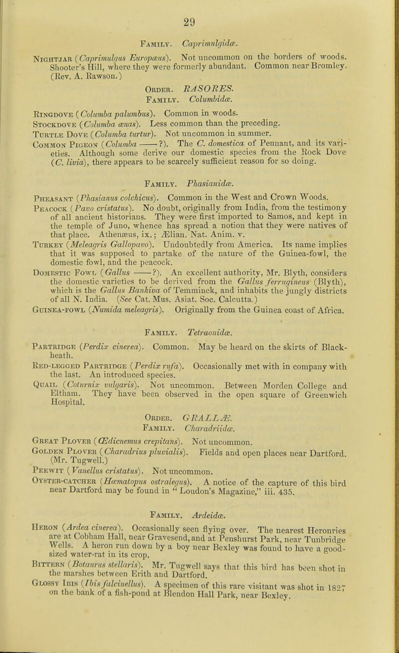 Family. Caprimulgidce. Nightjar (Crt/)rtwM/v«s Europans). Not uncommon on the borders of woods. Sliooter's Hill, where they were formerly abundant. Common near Bromley. CRev. A. Kawsou.) Order. RASORES. Family. ColumbidcB. Ringdove (Columba palumbus). Common in woods. Stockdove (Columba (enas). Less common than the preceding. Turtle Dove (Columba turtur). Not uncommon in summer. Common Pigeon (Columba ■?). The C. domestica of Pennant, and its vari- eties. Although some derive our domestic species from the Rock Dove (C. livia), there appears to be scarcely sufficient reason for so doing. Family. Phasianidce. Pheasant {Phasianus colchicus). Common in the West and Crown Woods. Peacock. {Pavo cristatus). No doubt, originally from India, from the testimony of all ancient historians. They were first imported to Samos, and kept in the temple of Juno, whence has spread a notion that they were natives of that place. Athenseus, ix.; iElian. Nat. Anim. v. Turkey (Meleagris Gallopavo). Undoubtedly from America. Its name implies that it was supposed to partake of the nature of the Guinea-fowl, the domestic fowl, and the peacock. Domestic Fowl (Gallus ?). An excellent authority, Mr. Blyth, considers the domestic varieties to be derived from the Gallus ferrugineus (Blyth), which is the Gallus Bankiva of Temminck, and inhabits the jungly districts of all N. India. {See Cat. Mus. Asiat. Soc. Calcutta.) Guinea-fowl {Numida meleagris). Originally from the Guinea coast of Africa. Family. Tetraonida. Partridge (Perdix cinerea). Common. May be heard on the skirts of Black- heath. Red-legged Partridge (Perdix riifa). Occasionally met with in company with the last. An introduced species. Quail (Colurnix vulgaris). Noc uncommon. Between Morden College and Eltham. They have been observed in the open square of Greenwich Hospital. Order. GRALL^. Family. CliaradriidcB. Great Plover (CEdicnemus crepitans). Not uncommon. Golden Plover (Charadriuspluvialis). Fields and open places near Dartfoi-d (Mr. Tugwell.) Peewit {Vanellus cristatus). Not uncommon. Oyster-catcher {Hcematopus ostralegus). A notice of the capture of this bird near Dartford may be found in  Loudon's Magazine, iii. 43,5. Family. Ardeidce. IlERON (Ardea civerea). Occasionally seen flying over. The nearest Heronries are at Cobham Hall, near Gravesend, and at Penshurst Park, near Tunbridge Wei s. A heron run down by a boy near Bexley was found to have a good- sizeu water-rat in its crop. Bittern (Botaurus slellaris). Mr. Tugwell says that this bird has been shot in the marshes between Erith and Dartford. Glossy Ima {Ibisfalcinellus). A specimen of this rare visitant was shot in 18--'7 on the bank ot a fish-pond at Blendon Hall Park, near Bexley.