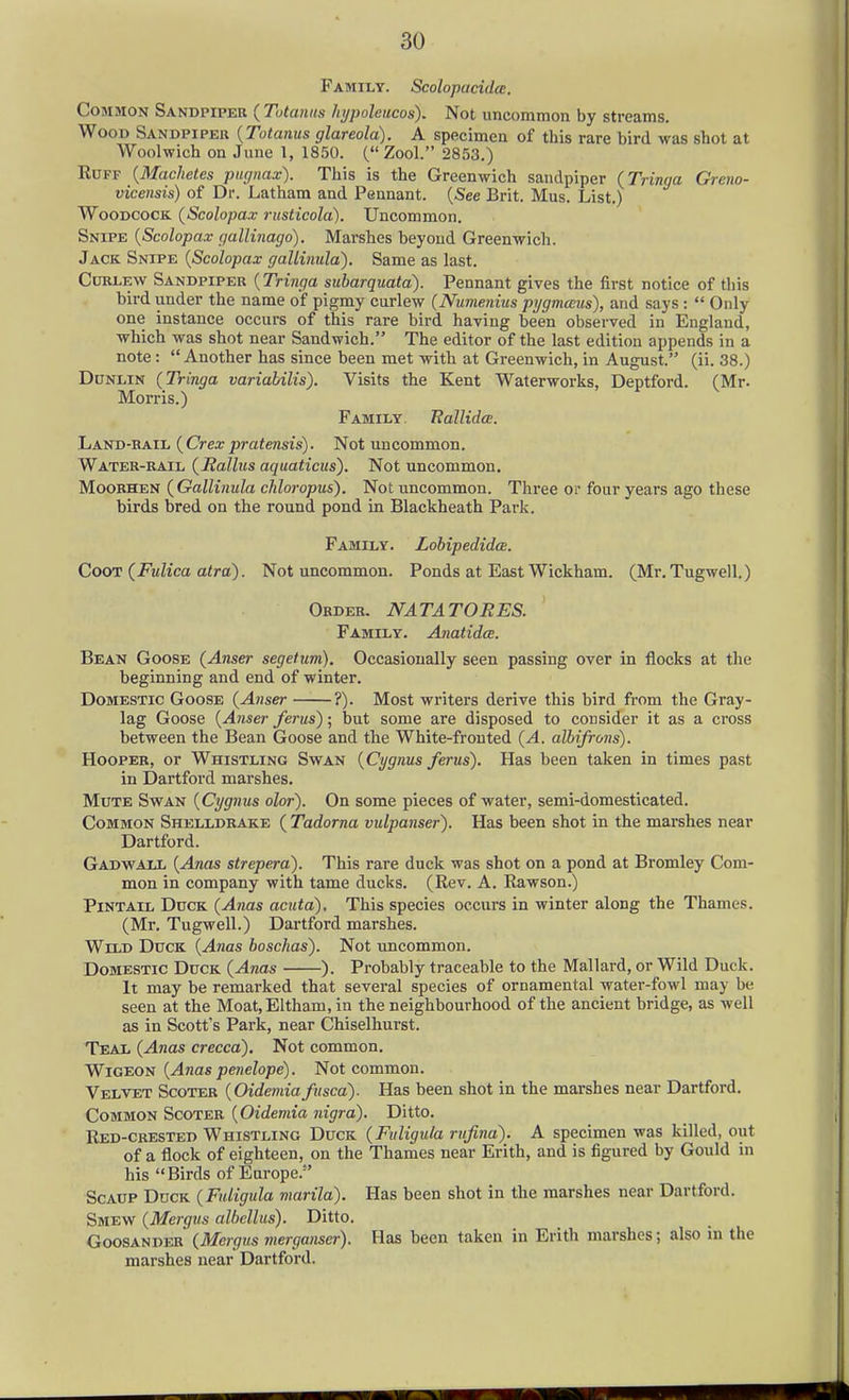Family. Scolopacidce. Common Sandpiper ( Tutanns hypoleucos). Not uncommon by streams. Wood Sandpiper {Totanus glareola). A specimen of this rare bird was shot at Woolwich on June \, 1850. (Zool. 2853.) Ruff {Machetes piignax). This is the Greenwich sandpiper {Tringa Greno- vicensis) of Dr. Latham and Pennant. {See Brit. Mus. List.) Woodcock {Scolopax rusticola). Uncommon. Snipe {Scolopax gallinago). Marshes beyond Greenwich. Jack Snipe {Scolopax gallimila). Same as last. Curlew Sandpiper {Tringa subarquata). Pennant gives the first notice of this bird under the name of pigmy curlew {Numenius pygmceus), and says:  Only one instance occurs of this rare bird having been observed in England, which was shot near Sandwich. The editor of the last edition appends in a note: Another has since been met with at Greenwich, in August. (ii. 38.) Dunlin {Tringa variabilis). Visits the Kent Waterworks, Deptford. (Mr. Morris.) Family. Eallida. Land-rail {Crexpratensis). Not uncommon. Water-rail {Rallus aquaticus). Not uncommon. Moorhen {Gallinula cliloropus). Not uncommon. Three or four years ago these birds bred on the round pond in Blackheath Park. Family. Lobipedida. Coot {Fulica atra). Not uncommon. Ponds at East Wickham. (Mr.Tugwell.) Order. NATATORES. Family. Anatida. Bean Goose {Anser segetum). Occasionally seen passing over in flocks at the beginning and end of winter. Domestic Goose {Anser ?). Most writers derive this bird from the Gray- lag Goose {Ajiser ferns'); but some are disposed to consider it as a cross between the Bean Goose and the White-fronted {A. albifrons). Hooper, or Whistling Swan {Cygnus ferns). Has been taken in times past in Dartford marshes. Mute Swan {Cygnus olor). On some pieces of water, semi-domesticated. Common Shelldrake ( Tadorna vulpanser). Has been shot in the marshes near Dartford. Gadwall {Anas strepera). This rare duck was shot on a pond at Bromley Com- mon in company with tame ducks. (Rev. A. Rawson.) Pintail Duck {A7ias acuta). This species occurs in winter along the Thames. (Mr, Tugwell.) Dartford marshes. Wild Duck {Anas hoschas). Not uncommon. Domestic Duck {Anas ). Probably traceable to the Mallard, or Wild Duck. It may be remarked that several species of ornamental water-fowl may be seen at the Moat,Eltham, in the neighbourhood of the ancient bridge, as well as in Scott's Park, near Chiselhurst. Teal {Anas crecca). Not common. WiGEON (^nas^e?jeZo/)e). Not common. Velvet Scoter {Oidemiafusca). Has been shot in the marshes near Dartford. Common Scoter {Oidemia nigra). Ditto. Red-crested Whistling Duck {Fuligula riifina). A specimen was killed, out of a flock of eighteen, on the Thames near Erith, and is figured by Gould in his Birds of Europe. Scaup Duck (Fuligula marila). Has been shot in the marshes near Dartford. Smew {Mergus alhcllus). Ditto. Goosander {Mergus merganser). Has been taken in Erith marshes; also in the marshes near Dartford.