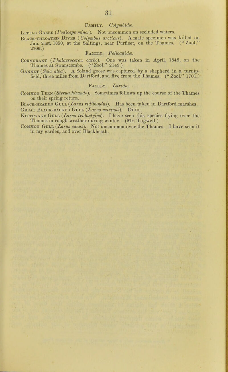 Family. Colymhidcc. Little Grebe (Podiceps minor). Not uncommon on secluded waters. Black-tuuoated Diver {Coh/mbus arclicus). A male specimen was killed on Jan. 21st, 1850, at the Saltings, near Purfleet, on the Thames. ( Zool. 2706.) Family, relicanidce. Cormorant {Phalacrocorax carlo). One was taken in April, 1848, on the Thames at Swanscombe. (Zool. 2149.) Gannet {Sala alba). A Soland goose was captured by a shepherd in a turnip- field, three miles from Dartford, and five from the Thames. ( Zool. 1701.) Family. LaridcE. Common Tern {Sterna hirundo). Sometimes follows up the course of the Thames on their spring return. Black-headed Gull {Lams ridibundus). Has been taken in Dartford marshes. Great Black-backed Gull {Larus viarimis). Ditto. KiTTiwAKE Gull {Larus tridactylus). I have seen this species flying over the Thames in rough weather during winter. (Mr. Tugwell.) Common Gull {Larus canus). Not uncommon over the Thames. I have seen it in my garden, and over Blackheath.