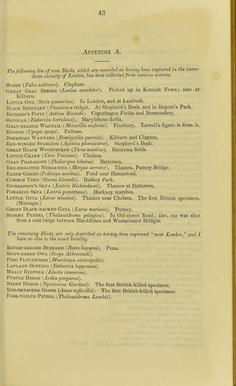 Appendix A. The following list nfrare Birds, which are recorded as having been captured in the imme- diate vicinity of London, has been collected from various sources. Hobby (Falco subbuteo). Clapham. Great Gray Shrike (Lanius excubitor). Picked up in Kentish Town; also at Kilburn. Little Owl (Strix passerina). In London, and at Lambeth, Black Kedstart {Phcenicura tithjs). At Shepherd's Bush, and in Regent's Park. Richard's Pipit {Anthus Ricardi). Copenhagen Fields and Bermondsey. Ortolan {Emberiza hortidana). Marylebone fields. Gray-headed Wagtail {Motacilla neglecta). Finsbury. Yarrell's figure is from it. Hoopoe {Upupa epops). Fulham. Bohemian Waxwing {Bombycilla garrula). Kilburn and Clapton. Red-winged Starling (Aglaiics phcBnicurus). Shepherd's Bush. Great Black Woodpecker (JPicus martins'). Battersea fields. Little Crake ( Crex Porzana). Chelsea. Gray Phalarope {Phalaropus lobatus). Battersea. Red-breasted Merganser {Mergus serrator). Thames, Putney Bridge. Eared Grebe (Podiceps auritus). Pond near Hampstead. Common Tern {Sterna kirundo). Bushey Park. Richardson's Skua {Lestris Richardsoni), Thames at Battersea. PosiARiNE Skua (Lestris pomarinus). Hackney marshes. Little Gull {Larus minutus). Thames near Chelsea. The first British specimen. (Montagu.) Great Black-backed Gull (Lartts marinus). Putney. Stormy Petrel {Thalassidroma pelagica). In Old-street Road; also, one was shot from a coal-barge between Blackfriars and Westminster Bridges. The remaining Birds are oidy described as having been captured ^^near JLondoJi, and I have no clue to the exact locality. Rough-legged Buzzard {Buteo lagopus). Penu. Scops-eared Owl {Scops Aldrovandi). Pied Flycatcher {Muscicapa atracapilla). Lapland Bunting {Emberiza lapponica). Mealy Redpole {Linola canescens). Purple Heron {Ardea purpurea). Night Heron {Nyclicorax Gardeni). The first British-killed specimen. Red-breasted Goose {Anser rxfficollis). The first British-killed specimen. Fork-tailed Petrel {Thalassidroma Leachii).