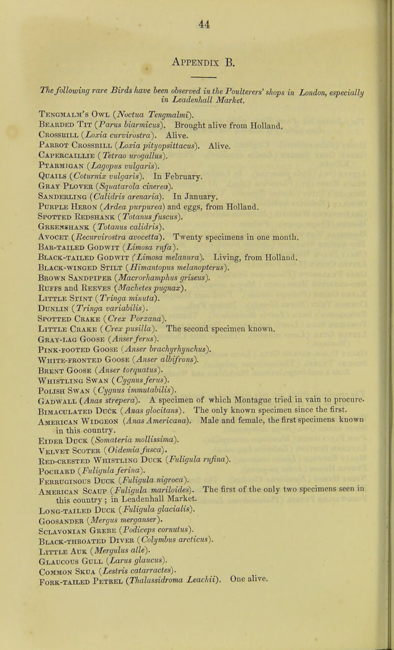 Appendix B. T?ie following rare Birds have been observed in the Poulterers' shops in London, especially in Leadenhall Market. Tengmalm's Owl (Noctua Tengmalmi). Bearbed Tit (Parus biarmicus). Brought alive from Holland. Crossbux {Loxia curvirostra). Alive. Pakrot Crossbill {Loxia pityopsittacus). Alive. Capebcaillie ( Tetrao urogallus). Ptarmigan (Lagopus vulgaris). QpAiLs {Coturnix vulgaris). In February. Gray Plover {Squatarola cinerea). Sanberling {Calidris arenaria). In January. Purple Heron {Ardea purpurea) and eggs, from Holland. Spotted Redshank ( Tetanusfuscus). Greenshank {Tetanus calidris). AvocET (^Eecurvirestra avecetta). Twenty specimens in one month. Bar-tailed Godwit {Limesa rufa). Black-tailed Godwit (Limosa melanura). Living, from Holland. Black-winged Stilt {Himantopus melanepterus). Brown Sandpiper {Macrerhamphus griseus). EuFFS and Reeves {^Machetes pugnax). Little Stint {Ti-inga minuta). Dunlin ( Tringa variabilis). Spotted Crake {Crex Perzana). Little Crake (Crex pusilla). The second specimen known. Gray-lag Goose (Anser/erus). Pink-footed Goose (Anser brachyrhynchus). White-fronted Goose {Anser albifrens). Brent Goose {Anser terquatus). Whistling Swan ( Cygniisferus). Polish Swan {Cygnus immutabilis). Gadwall {Anas strepera). A specimen of which Montague tried in vain to procure- Bimacdlated Duck {Anas glecitans). The only known specimen since the first. American Widgeon {Anas Americana). Male and female, the first specimens known in this country. Eider Duck {Semateria mollissima). Velvet Scoter {Oidemiafusca). Red-crested Whistling Duck {Fuligula rvfina). Pochard {Fuligida feriiia). Ferruginous Duck {Fuligula nigroca). American Scaup {Fuligula mariloides). The first of the only two specimens seen in this country ; in Leadenhall Market. Long-tailed Duck {Fuligula glacialis). Goosander {Mergus merganser). ScLAVONiAN Grebe {Podiceps cornutus). Black-throated Diver {Colymbus arcticus). Little Auk {Mergulus alle). Glaucous Gull {Larus glaucus). Common Skua {Lestris catarractes). Fork-tailed Petrel {Thalassidroma Leachii). One alive. J