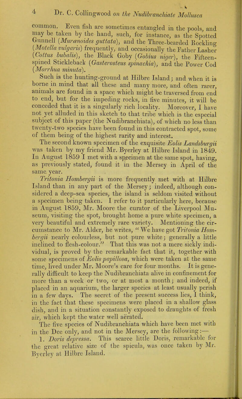 comnion. Even fish are sometimes entangled in the pools, and may be taken by the hand, such, for instance, as the Spotted Gunnel] [Murcenoides guttata), and the Three-bearded Kockling [Motella vulgaris) frequently, and occasionally the Father Lasher {Coitus bubalis), the Black Goby [Gobius iiiger), the Fifteen- spined Stickleback {Gasterosteus sjnnachia), and the Power Cod [Morrhua minuta). Such is the hunting-ground at Hilbre Island; and when it is borne in mind that all these and many more, and often rarer, animals are found in a space which might be traversed from end to end, but for the impeding rocks, in five minutes, it will be conceded that it is a singularly rich locality. Moreover, I have not yet alluded in this sketch to that tribe which is the especial subject of this paper (the Nudibranchiata), of which no less than tw^enty-two species have been found in this contracted spot, some of them being of the highest rarity and interest. The second known specimen of the exquisite Eolis Landshurgii was taken by my friend Mr. Byerley at Hilbre Island in 1849. In August 1859 I met with a specimen at the same spot, having, as previously stated, found it in the Mersey in April of the same year. Tritonia Hombergii is more frequently met with at Hilbre Island than in any part of the Mersey; indeed, although con- sidered a deep-sea species, the island is seldom visited without a specimen being taken. I refer to it particularly here, because in August 1859, Mr. Moore the curator of the Liverpool Mu- seum, visiting the spot, brought home a pure white specimen, a very beautiful and extremely rare variety. Mentioning the cir- cumstance to Mr. Alder, he writes,  We have got Tritonia Hom- bergii nearly colourless, but not pure white; generally a little inclined to flesh-colour. That this was not a mere sickly indi- vidual, is proved by the remarkable fact that it, together with some specimens oi Eolis papulosa, which were taken at the same time, lived under Mr. Moore^s care for four months. It is gene- rally difficult to keep the Nudibranchiata alive in confinement for more than a week or two, or at most a month; and indeed, if placed in an aquarium, the larger species at least usually perish in a few days. The secret of the present success lies, 1 think, in the fact that these specimens were placed in a shallow glass dish, and in a situation constantly exposed to draughts of fresh air, which kept the water well aerated. The five species of Nudibranchiata which have been met with in the Dee only, and not in the Mersey, are the following:— 1. Doris depressa. This scarce little Doris, remarkable for the great relative size of the spicula, was once taken by Mr. Byerley at Hilbre Island.