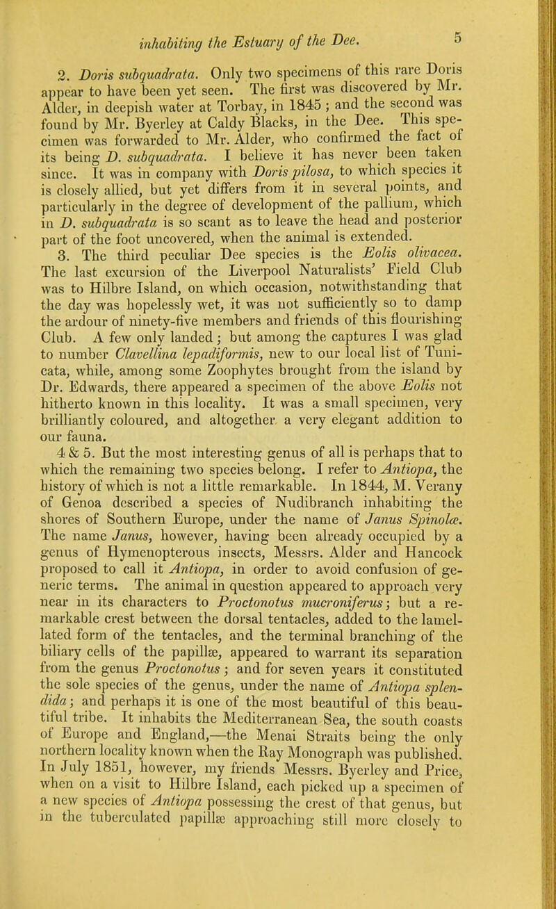 2. Doris subquadrata. Only two specimens of this rare Doris appear to have been yet seen. The first was discovered by Mr. Alder, in deepish water at Torbay, in 1845 ; and the second was found by Mr. Byerley at Caldy Blacks, in the Dee. This spe- cimen was forwarded to Mr. Alder, who confirmed the fact of its being D. subquadrata. I believe it has never been taken since. It was in company with Dorispilosa, to which species it is closely allied, but yet differs from it in several points, and particularly in the degree of development of the pallium, which in D. subquadrata is so scant as to leave the head and posterior part of the foot uncovered, when the animal is extended. 3. The third peculiar Dee species is the Eolis olivacea. The last excursion of the Liverpool Naturalists' Field Club was to Hilbre Island, on which occasion, notwithstanding that the day was hopelessly wet, it was not sufficiently so to damp the ardour of ninety-five members and friends of this flourishing Club. A few only landed ; but among the captures I was glad to number Clavellina lepadiformis, new to our local list of Tuni- cata, while, among some Zoophytes brought from the island by Dr. Edwards, there appeared a specimen of the above Eolis not hitherto known in this locality. It was a small specimen, very brilliantly coloured, and altogether, a very elegant addition to our fauna. 4 & 5. But the most interesting genus of all is perhaps that to which the remaining two species belong. I refer to Antiopa, the history of which is not a little remarkable. In 1844, M. Verany of Genoa described a species of Nudibranch inhabiting the shores of Southern Europe, under the name of Janus Spinola?. The name Janus, however, having been already occupied by a genus of Hymenopterous insects, Messrs. Alder and Hancock proposed to call it Antiopa, in order to avoid confusion of ge- neric terms. The animal in question appeared to approach very near in its characters to Proctonotus mucroniferus; but a re- markable crest between the dorsal tentacles, added to the lamel- lated form of the tentacles, and the terminal branching of the biliary cells of the papillae, appeared to warrant its separation from the genus Proctonotus; and for seven years it constituted the sole species of the genus, under the name of Antiopa splen- dida; and perhaps it is one of the most beautiful of this beau- tiful tribe. It inhabits the Mediterranean Sea, the south coasts of Europe and England,—the Menai Straits being the only northern locality known when the Bay Monograph was published. In July 1851, however, my friends Messrs. Byerley and Price, when on a visit to Hilbre Island, each picked up a specimen of a new species of Antiopa possessing the crest of that genus, but in the tubcrculatcd papillaj approaching still more closely to