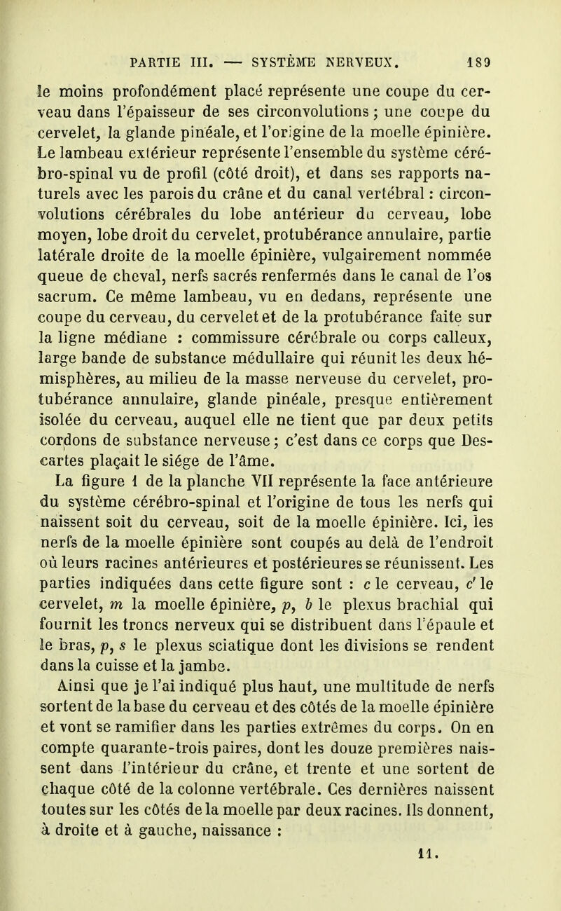 le moins profondément placé représente une coupe du cer- veau dans l'épaisseur de ses circonvolutions ; une coupe du cervelet, la glande pinëale, et l'origine de la moelle épinière. Le lambeau exlérieur représente l'ensemble du système céré- bro-spinal vu de profil (côté droit), et dans ses rapports na- turels avec les parois du crâne et du canal vertébral : circon- volutions cérébrales du lobe antérieur du cerveau, lobe moyen, lobe droit du cervelet, protubérance annulaire, partie latérale droite de la moelle épinière, vulgairement nommée queue de cheval, nerfs sacrés renfermés dans le canal de l'os sacrum. Ce môme lambeau, vu en dedans, représente une coupe du cerveau, du cervelet et de la protubérance faite sur la ligne médiane : commissure cérébrale ou corps calleux, large bande de substance médullaire qui réunit les deux hé- misphères, au milieu de la masse nerveuse du cervelet, pro- tubérance annulaire, glande pinéale, presque entièrement isolée du cerveau, auquel elle ne tient que par deux petits cordons de substance nerveuse ; c'est dans ce corps que Des- cartes plaçait le siège de l'âme. La figure 1 de la planche VII représente la face antérieure du système cérébro-spinal et l'origine de tous les nerfs qui naissent soit du cerveau, soit de la moelle épinière. Ici, les nerfs de la moelle épinière sont coupés au delà de l'endroit où leurs racines antérieures et postérieures se réunissent. Les parties indiquées dans cette figure sont : c le cerveau, c' le cervelet, m la moelle épinière, p, b le plexus brachial qui fournit les troncs nerveux qui se distribuent dans l'épaule et le bras, p, s le plexus sciatique dont les divisions se rendent dans la cuisse et la jambe. Ainsi que je l'ai indiqué plus haut, une multitude de nerfs sortent de la base du cerveau et des côtés de la moelle épinière et vont se ramifier dans les parties extrêmes du corps. On en compte quarante-trois paires, dont les douze premières nais- sent dans l'intérieur du crâne, et trente et une sortent de chaque côté de la colonne vertébrale. Ces dernières naissent toutes sur les côtés de la moelle par deux racines. Ils donnent, à droite et à gauche, naissance : il.