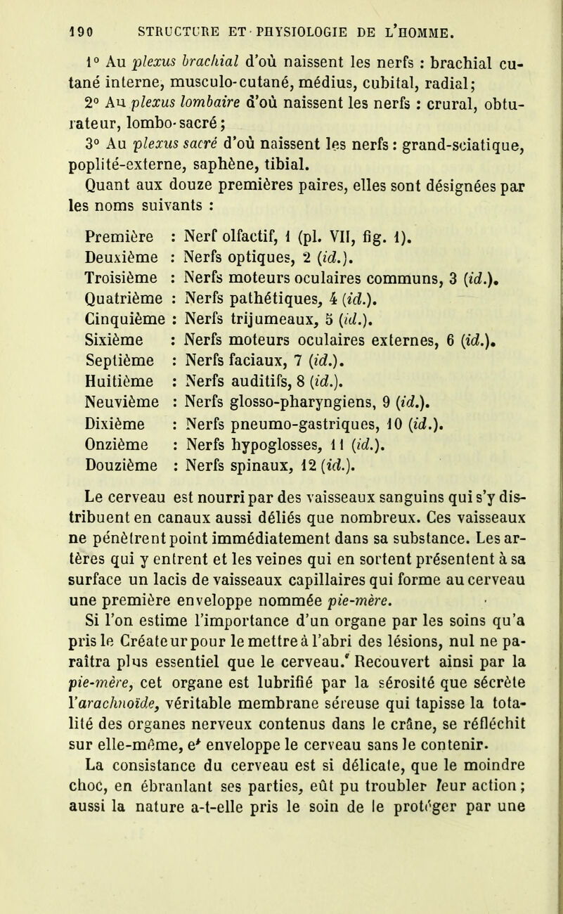 1° Au plexus brachial d'où naissent les nerfs : brachial cu- tané interne, musculo-cutané, médius, cubital, radial; 2° Au plexus lombaire d'où naissent les nerfs : crural, obtu- rateur, lombo-sacré; 3° Au plexus sacré d'où naissent les nerfs : grand-sciatique, poplité-externe, saphène, tibial. Quant aux douze premières paires, elles sont désignées par les noms suivants : Première Deuxième Troisième Quatrième Cinquième Sixième Septième Huitième Neuvième Dixième Onzième Douzième Nerf olfactif, 1 (pl. VII, fig. 1). Nerfs optiques, 2 (id.). Nerfs moteurs oculaires communs, 3 (id.)m Nerfs pathétiques, 4 (id.). Nerfs trijumeaux, 5 (id.). Nerfs moteurs oculaires externes, 6 (id.). Nerfs faciaux, 7 (id.). Nerfs auditifs, 8 (id.). Nerfs glosso-pharyngiens, 9 (id.). Nerfs pneumo-gastriques, 10 (id.). Nerfs hypoglosses, 11 (id.). Nerfs spinaux, 12 (id.). Le cerveau est nourri par des vaisseaux sanguins qui s'y dis- tribuent en canaux aussi déliés que nombreux. Ces vaisseaux ne pénètrent point immédiatement dans sa substance. Les ar- tères qui y entrent et les veines qui en sortent présentent à sa surface un lacis de vaisseaux capillaires qui forme au cerveau une première enveloppe nommée pie-mère. Si l'on estime l'importance d'un organe par les soins qu'a pris le Créateur pour le mettre à l'abri des lésions, nul ne pa- raîtra plus essentiel que le cerveau. Recouvert ainsi par la pie-mère, cet organe est lubrifié par la sérosité que sécrète l'arachnoïde, véritable membrane séreuse qui tapisse la tota- lité des organes nerveux contenus dans le crâne, se réfléchit sur elle-même, e* enveloppe le cerveau sans le contenir. La consistance du cerveau est si délicate, que le moindre choc, en ébranlant ses parties, eût pu troubler Jeur action ; aussi la nature a-t-elle pris le soin de le protéger par une
