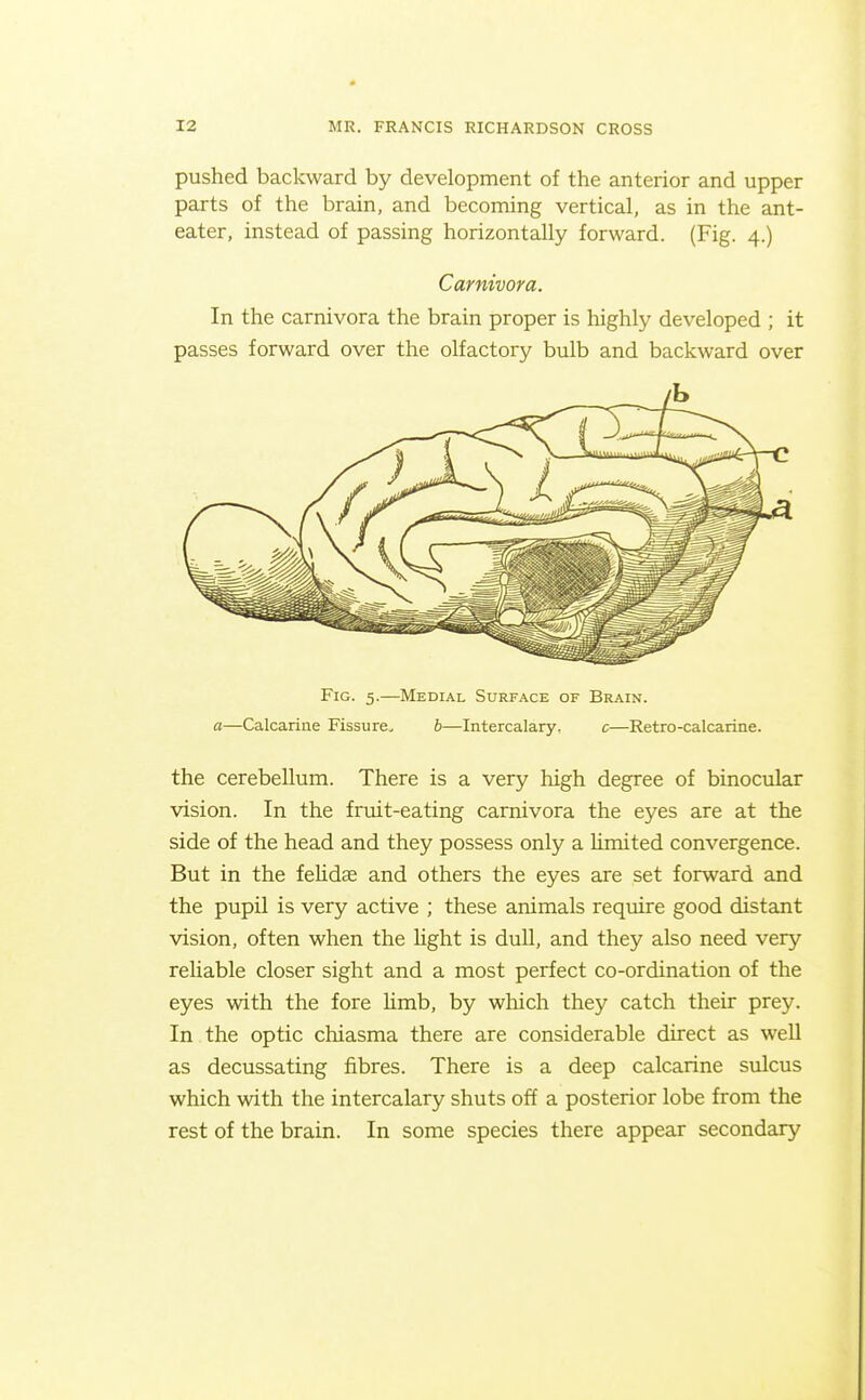 pushed backward by development of the anterior and upper parts of the brain, and becoming vertical, as in the ant- eater, instead of passing horizontally forward. (Fig. 4.) Carnivora. In the carnivora the brain proper is highly developed ; it passes forward over the olfactory bulb and backward over Fig. 5.—Medial Surface of Brain. a—Calcarine Fissure. b—Intercalary. c—Retro-calcarine. the cerebellum. There is a very high degree of binocular vision. In the fruit-eating carnivora the eyes are at the side of the head and they possess only a limited convergence. But in the feUdae and others the eyes are set forward and the pupil is very active ; these animals require good distant vision, often when the hght is dull, and they also need very reliable closer sight and a most perfect co-ordination of the eyes with the fore hmb, by which they catch their prey. In the optic chiasma there are considerable direct as weU as decussating fibres. There is a deep calcarine sulcus which with the intercalary shuts off a posterior lobe from the rest of the brain. In some species there appear secondary