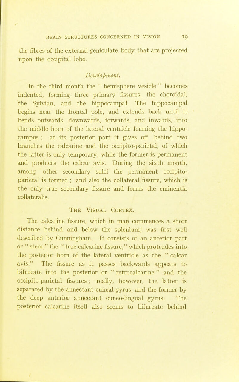 the fibres of the external geniculate body that are projected upon the occipital lobe. Development. In the third month the  hemisphere vesicle  becomes indented, forming three primary fissures, the choroidal, the Sylvian, and the hippocampal. The hippocampal begins near the frontal pole, and extends back until it bends outwards, downwards, forwards, and inwards, into the middle horn of the lateral ventricle forming the hippo- campus ; at its posterior part it gives off behind two branches the calcarine and the occipito-parietal, of which the latter is only temporary, while the former is permanent and produces the calcar avis. During the sixth month, among other secondary sulci the permanent occipito- parietal is formed ; and also the collateral fissure, which is the only true secondary fissure and forms the eminentia coUateralis. The Visual Cortex. The calcarine fissure, which in man commences a short distance behind and below the splenium, was first well described by Cunningham. It consists of an anterior part or  stem, the  true calcarine fissure, which protrudes into the posterior horn of the lateral ventricle as the  calcar avis. The fissure as it passes backwards appears to bifurcate into the posterior or  retrocalcarine  and the occipito-parietal fissures; really, however, the latter is separated by the annectant cuneal gyrus, and the former by the deep anterior annectant cuneo-lingual gyrus. The posterior calcarine itself also seems to bifurcate behind