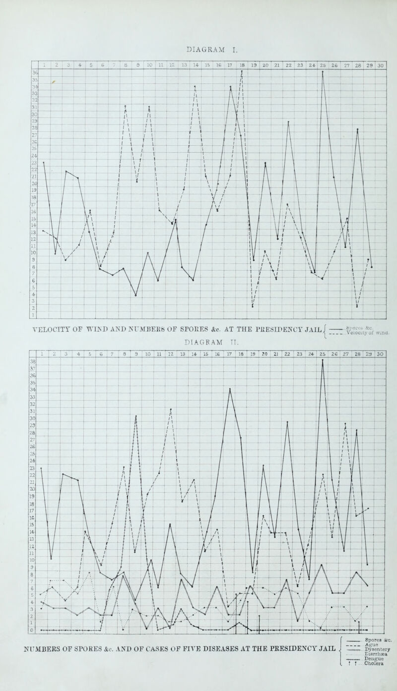 VELOCITY OF WIND AND NUMBERS OF SPORES &c. AT THE PRESIDENCY JAIL DIAGRAM TT. ..SllOl'OS &C. .Velocity of Wind. NUMBERS OF SPORES &c. AND OF CASES OF FIVE DISEASES AT THE PRESIDENCY JAIL J i r Spores ice. Ague Dysentery Eiarrhaea Dengue Cholera