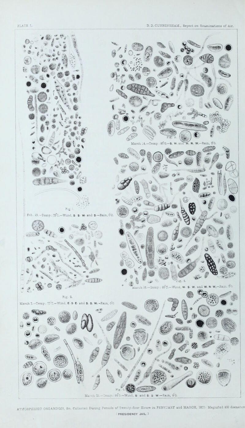 ATMOSPHERIC ORGANISMS, &c. Collected During Periods of Twenty-four Hours in FEBRUARY and MARCH, 1372: Magnified 400 diameters ' PRESIDENCY JAIL. )