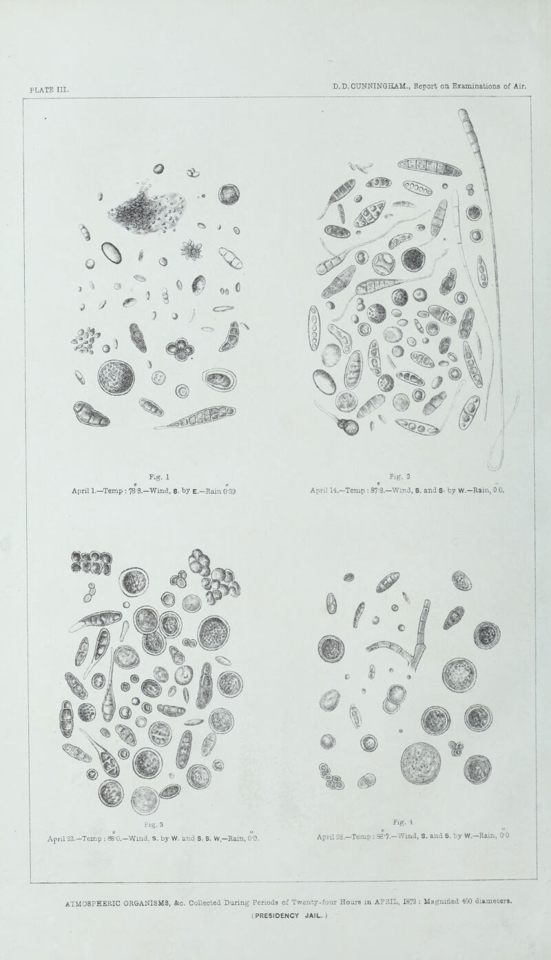 ATMOSPHERIC ORGANISMS, &c. Collected During Periods of Twenty-four Hours in APRIL, 1872 : Magnified 400 diameters. (PRESIDENCY JAIL.)