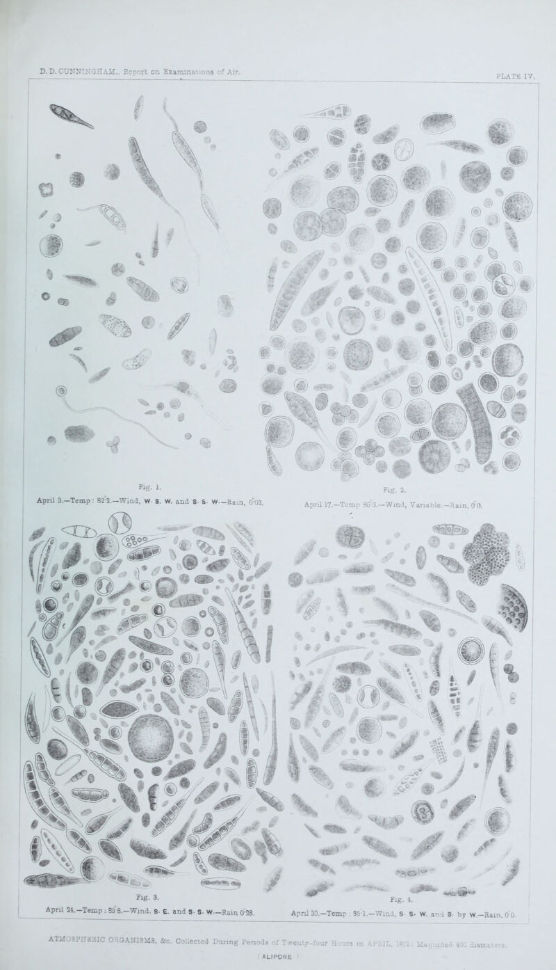 plats iv. Aphl a4.-Temp.333.-Wmd. 3. E. and 3- S- W—Ram 0'28 Arru 30.-Temp ; 36°1.-Wind, S S- W. ani S- by W.-Rain. 0 0. OROANISM3, &c. Collected During Periods of Twenty-four Hours m APRIL, 1372: Magnified 400 diameters. ALIPORE