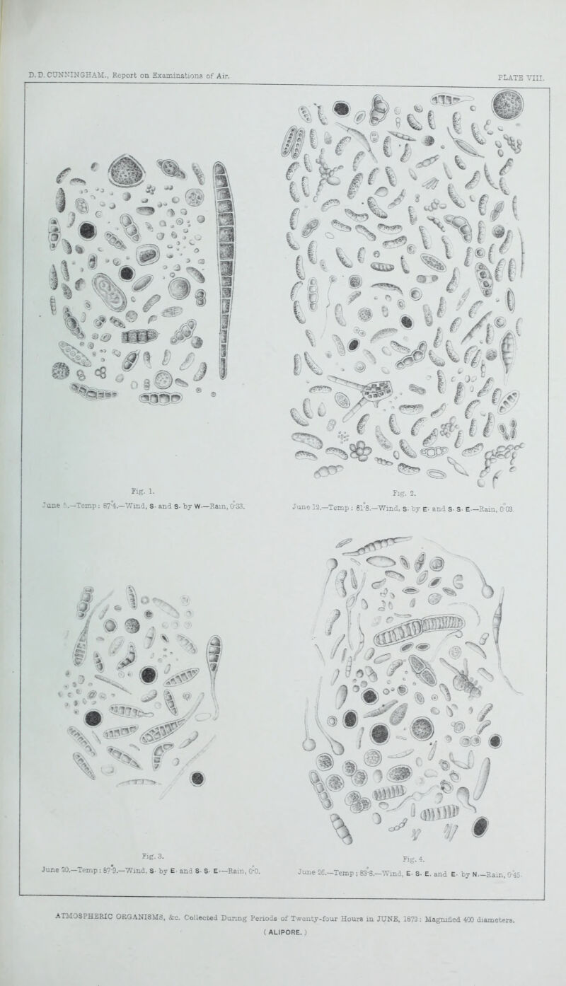 ATMOSPHERIC ORGANISMS, &c. Collected During Periods of Twenty-four Hours in JUNE, 1872: Magnified 400 diameters.