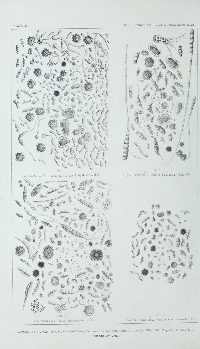 I 11 I b i a j^v—r\ ^* Fig 1 June:30.-Tcmp : 8TS.—Wind, E. N. E- and E. by N.—Rain. 0 33. July 7—Temp: 85 0.—Wind, S by E and S—Rain, 0 0. «._\T 43X jg ATMOSPHERIC ORGANISM3, &c. Collected During Periods of Twenty-four Hours in JUNE and JULY, 1572 : Magnified 400 diameters.