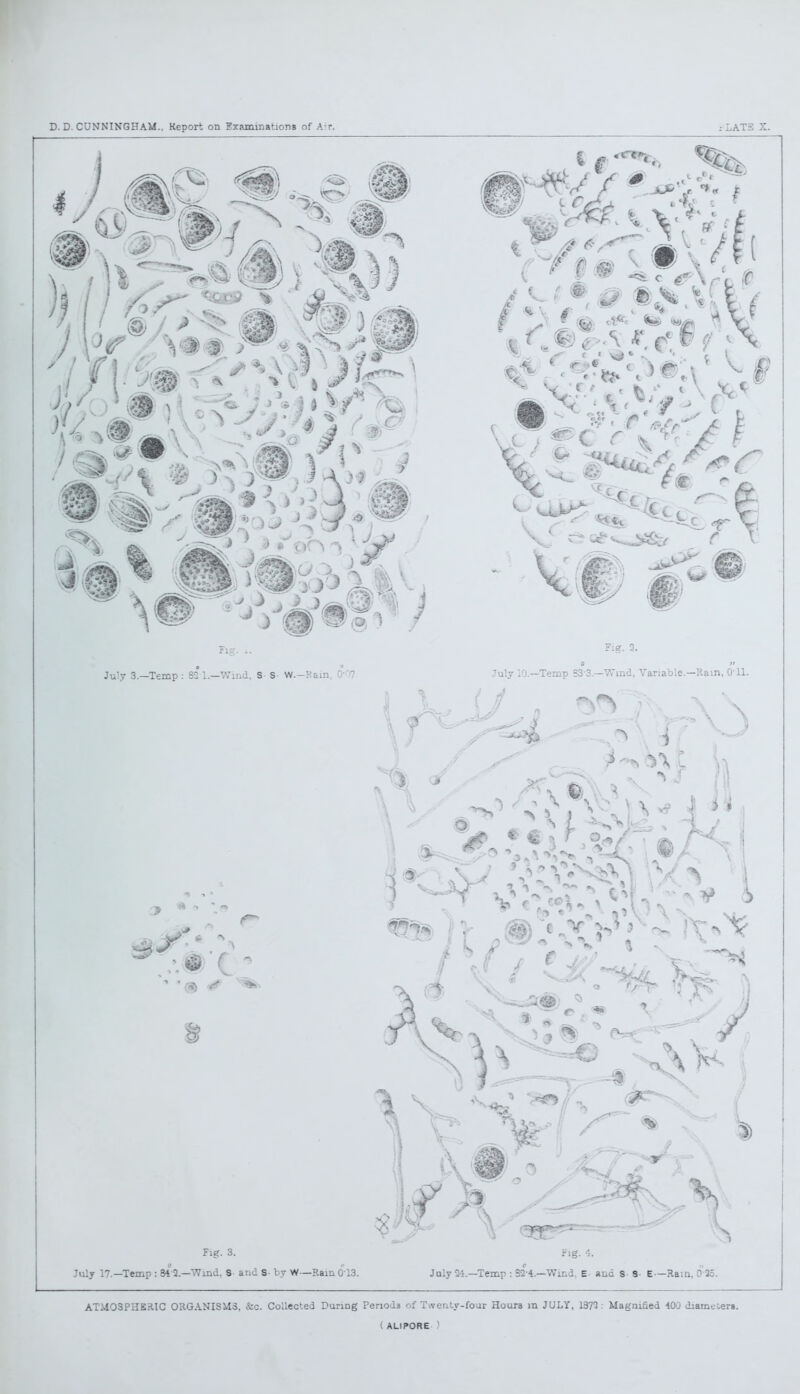 July 17.—Temp : 84 2.—Wind. S and S- by W—RainOT3. July 24.—Temp : S2-4.—Wind. E and S 3- E—Ram, OK. ATMOSPHERIC ORGANISMS, &c. Collected During Periods of Twenty-four Hour3 in JULY, 1372: Magnified 400 diameters. ( ALIPORE