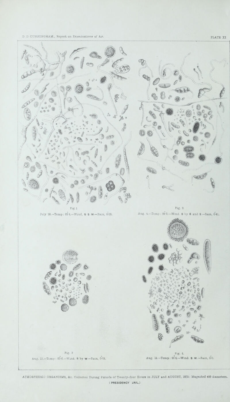 ATMOSPHERIC ORGANISMS, &c. Collected During Periods of Twenty-four Honrs in JULY and AUGUST, 1872: Magnified 400 diameters.