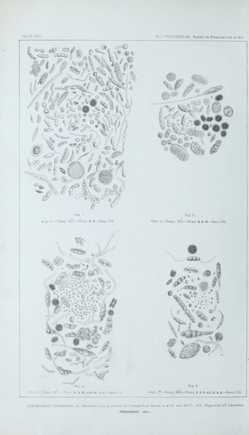 Fir'. 3. Fig. 4. Sept. S.-Ternp : 83°3.—Wind, W. S. W. and W- by S.—Ram, 0:0 Sept. If.—Temp : 84-9.—Wind, S. S. E and E. S. E.—Rain, 0 20 ATMOSPHERIC ORGANISMS, &c. Collected During Periods of Twenty-four Hours in AUG. and SEPT., 1872 : Magnified 400 diameters.