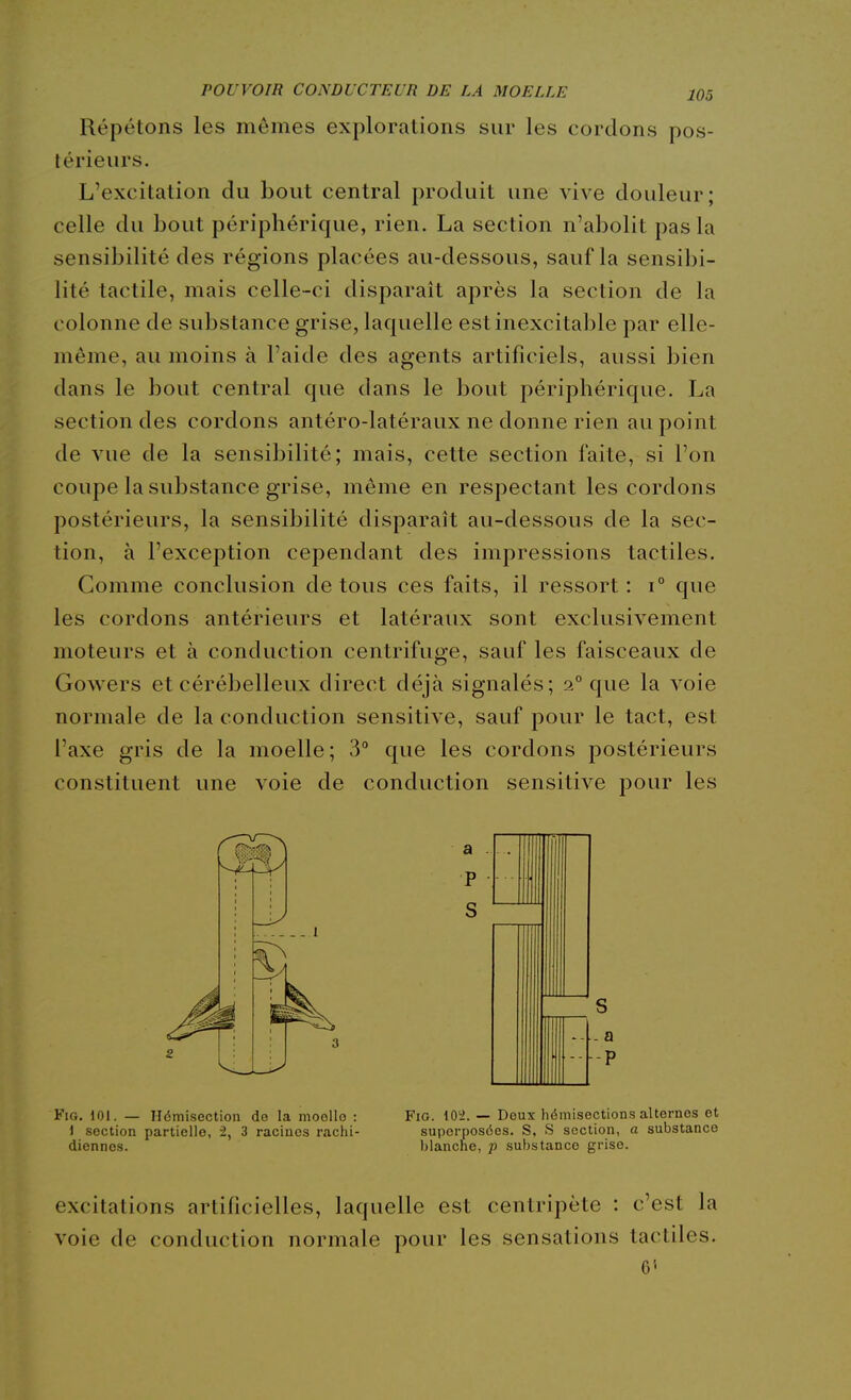 Répétons les mômes explorations sur les cordons pos- térieurs. L'excitation du bout central produit une vive douleur; celle du bout périphérique, rien. La section n'abolit pas la sensibilité des régions placées au-dessous, sauf la sensibi- lité tactile, mais celle-ci disparaît après la section de la colonne de substance grise, laquelle est inexcitable par elle- même, au moins à l'aide des agents artificiels, aussi bien dans le bout central que dans le bout périphérique. La section des cordons antéro-latéraux ne donne rien au point de vue de la sensibilité; mais, cette section faite, si l'on coupe la substance grise, même en respectant les cordons postérieurs, la sensibilité disparaît au-dessous de la sec- tion, à l'exception cependant des impressions tactiles. Comme conclusion de tous ces faits, il ressort: i° que les cordons antérieurs et latéraux sont exclusivement moteurs et à conduction centrifuge, sauf les faisceaux de Gowers et cérébelleux direct déjà signalés; 2° que la voie normale de la conduction sensitive, sauf pour le tact, est l'axe gris de la moelle; 3° que les cordons postérieurs constituent une voie de conduction sensitive pour les FiG, 101. — Ilémisection de la moollo : FiG. lO'i. — Doux hémisoctions alternes ot 1 section partielle, 2, 3 racines rachi- superposées. S, S section, a substance diennos. blanche, p substance grise. excitations artificielles, laquelle est centripète : c'est la voie de conduction normale pour les sensations tactiles. 6'-