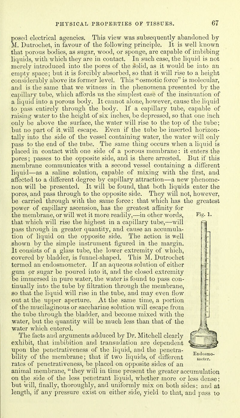 posed electrical agencies. This view was subsequently abandoned by M. Dutrochet, in favour of the following principle. It is well l^nown that porous bodies, as sugar, wood, or sponge, are capable of imbibing liquids, with which, they are in contact. In such case, the liquid is not merely introduced into the pores of the ^olid, as it would be into an empty space; but it is forcibly absorbed, so that it will rise to a height considerably above its former level. This osmotic force is molecular, and is the same that we witness in the phenomena presented by the capillary tube, Avhich affords us the simplest case of the insinuation of a liquid into a porous body. It cannot alone, however, cause the liquid to pass entirely through the body. If a capillary tube, capable of raising water to the heigbt of six inches, be depressed, so that one inch only be above the surface, the water will rise to the top of the tube; but no part of it will escape. Even if the tube be inserted horizon- tally into the side of the vessel containing water, the water will only pass to the end of the tube. The same thing occurs when a liqiiid is placed in contact with one side of a porous membrane: it enters the pores; passes to the opposite side, and is there arrested. But if this membrane communicates with a second vessel containing a different liquid—as a saline solution, capable of mixing with the first, and affected to a different degree by capillary attraction—a new phenome- non will be presented. It will be found, that both, liquids enter the pores, and pass through to the opposite side. They will not, however, be carried through with the same force: that which has the greatest power of capillary ascension, has the greatest affinity for the membrane, or will wet it more I'eadily,—in other words. Fig. 1. that which will rise the highest in a capillary tube,—will pass through in greater quantity, and cause an accumula- tion of liquid on the opposite side. The action is well shown by the simple instrument figured in the margin. It consists of a glass tube, the lower extremity of which, covered by bladder, is funnel-shaped. This M. Dutrochet termed an endosmometer. If an aqueous solution of either gum or sugar be poured into it, and the closed extremity be immersed in pure water, the water is found to pass con- tinually into the tube by filtration through the membrane, so that the liquid will rise in the tube, and may even flow out at the upper aperture. At the same time, a portion of the mucilaginous or saccharine solution will escape from the tube through the bladder, and become mixed with the water, but the quantity will be much less than that of the water which entered. The facts and arguments adduced by Dr. Mitchell clearly ^ exhibit, that imbibition and transudation are dependent % upon the penetrativeness of the liquid, and the penetra- ^ bility of the membrane; that if two liquids, of different m'Jten°' rates of penetrativeness, be placed on opposite sides of an animal membrane, they will in time present the greater accumulation on the side of the less penetrant liquid, whether more or less dense; but will, finally, thoroughly, and unifoi-mly mix on both sides; and at length, if any pressure exist on either side, yield to that, and pass to