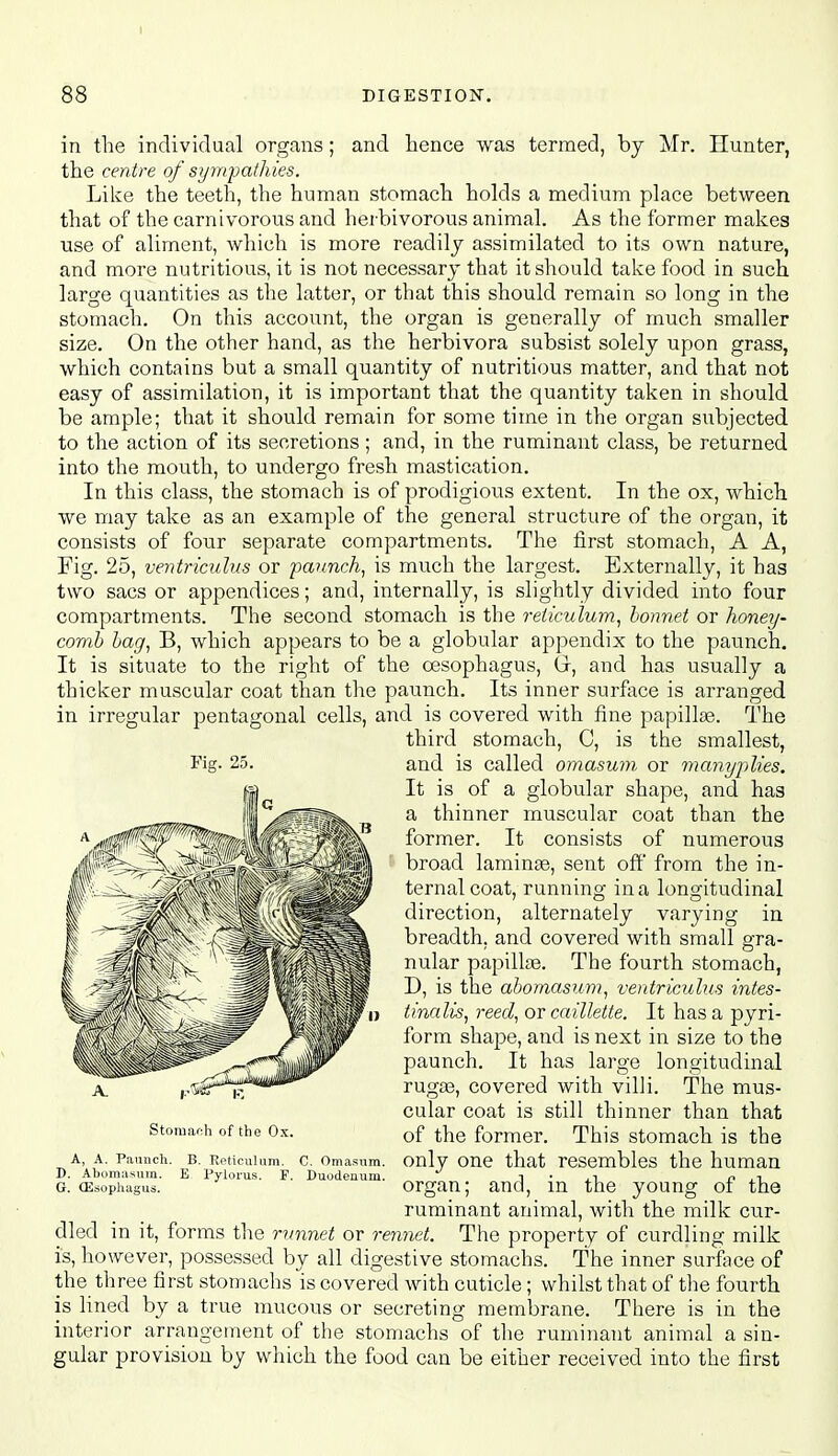 DIGESTION-. in the individual organs; and hence was termed, by Mr. Hunter, the centre of st/mpathies. Like the teeth, the human stomach holds a medium place between that of the carnivorous and herbivorous animal. As the former makes use of aliment, which is more readily assimilated to its own nature, and more nutritious, it is not necessary that it should take food in such large quantities as the latter, or that this should remain so long in the stomach. On this account, the organ is generally of much smaller size. On the other hand, as the herbivora subsist solely upon grass, which contains but a small quantity of nutritious matter, and that not easy of assimilation, it is important that the quantity taken in should be ample; that it should remain for some time in the organ subjected to the action of its secretions; and, in the ruminant class, be returned into the mouth, to undergo fresh mastication. In this class, the stomach is of prodigious extent. In the ox, which we may take as an example of the general structure of the organ, it consists of four separate compartments. The first stomach, A A, Fig. 25, ventriculus or paunch, is much the largest. Externally, it has two sacs or appendices; and, internally, is slightly divided into four compartments. The second stomach is the reticulum, bonnet or honey- comb bag, B, which appears to be a globular appendix to the paunch. It is situate to the right of the oesophagus, (J, and has usually a thicker muscular coat than the paunch. Its inner surfoce is arranged in irregular pentagonal cells, and is covered with fine papillae. The third stomach, C, is the smallest, and is called omasum or manyplies. It is of a globular shape, and has a thinner muscular coat than the former. It consists of numerous broad laminse, sent off' from the in- ternal coat, running in a longitudinal direction, alternately varying in breadth, and covered with small gra- nular papillae. The fourth stomach, D, is the abomasum, ventriculus intes- tinalis, reed, or caillette. It has a pyri- form shape, and is next in size to the paunch. It has large longitudinal ruga3, covered with villi. The mus- cular coat is still thinner than that of the former. This stomach is the only one that resembles the human organ; and, in the young of the ruminant animal, with the milk cur- dled in it, forms the rvnnet or rennet. The property of curdling milk is, however, possessed by all digestive stomachs. The inner surfoce of the three first stomachs is covered with cuticle; whilst that of the fourth is lined by a true mucous or secreting membrane. There is in the interior arrangement of the stomachs of the ruminant animal a sin- gular provision by which the food can be either received into the first Fig. 25. Stomar:h of the Ox. A, A. Pauncli D. Abomasum. G. (Esophagus. B. Reticulum. B- Pylorus. F. J. Oma.'inm. Duodenum.