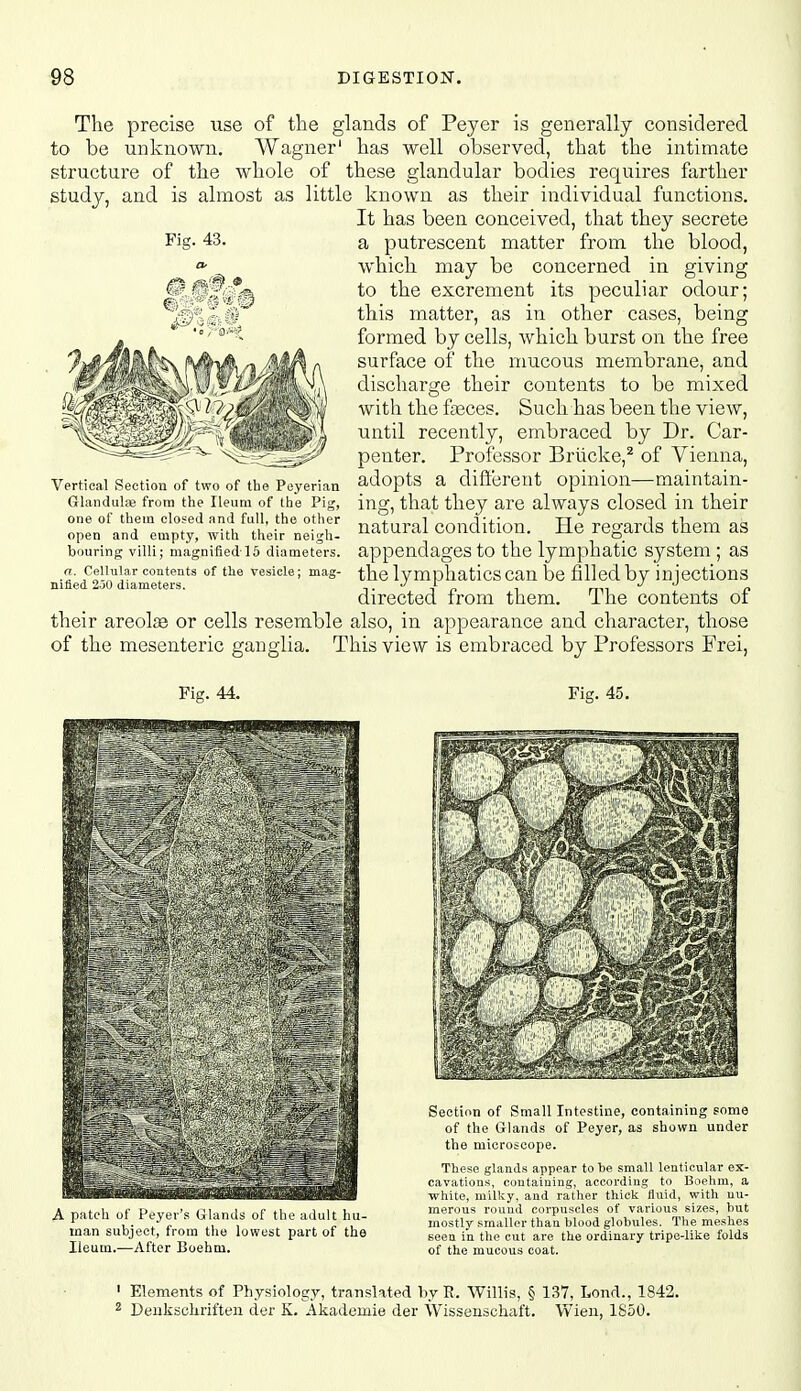 study, and is almost as Fig. 43. 0, -3 The precise use of the glands of Peyer is generally considered to be unknown. Wagner' has well observed, that the intimate structure of the whole of these glandular bodies requires farther little known as their individual functions. It has been conceived, that they secrete a putrescent matter from the blood, which may be concerned in giving to the excrement its peculiar odour; this matter, as in other cases, being formed by cells, which burst on the free surface of the mucous membrane, and dischai'ge their contents to be mixed with the fteces. Such has been the view, until recently, embraced by Dr. Car- penter. Professor Briicke,^ of Vienna, adopts a different opinion—maintain- ing, that they are always closed in their natural condition. He regards them as appendages to the lymphatic system ; as the lymphatics can he filled by injections directed from them. The contents of their areolae or cells resemble also, in appearance and character, those of the mesenteric ganglia. This view is embraced by Professors Frei, Vertical Section of two of the Peyerian Glandute from the Ileum of the Pig, one of them closed and full, the other open and empty, with their neigh- bouring villi; magnified lS diameters. a. Cellular contents of the vesicle; mag- nified 2.30 diameters. Fig. 44. Fig. 45. A patch of Peyer's Glands of the adult hu- man subject, from the lowest part of the Ileum.—After Boehm. Section of Smalllntestine, containing some of the Glands of Peyer, as shown under the microscope. These glands appear to be small lenticular ex- cavations, containing, according to Boehm, a white, milky, and rather thick fluid, with nu- merous round corpuscles of various sizes, but mostly smaller thaa blood globules. The meshes seen in the cut are the ordinary tripe-lilie folds of the mucous coat. ' Elements of Physiology, translated by R. Willis, § 137, Lend., 1S42. 2 Deuksclirifteii der K. Akademie der Wisseuschaft. Wien, 1S50.