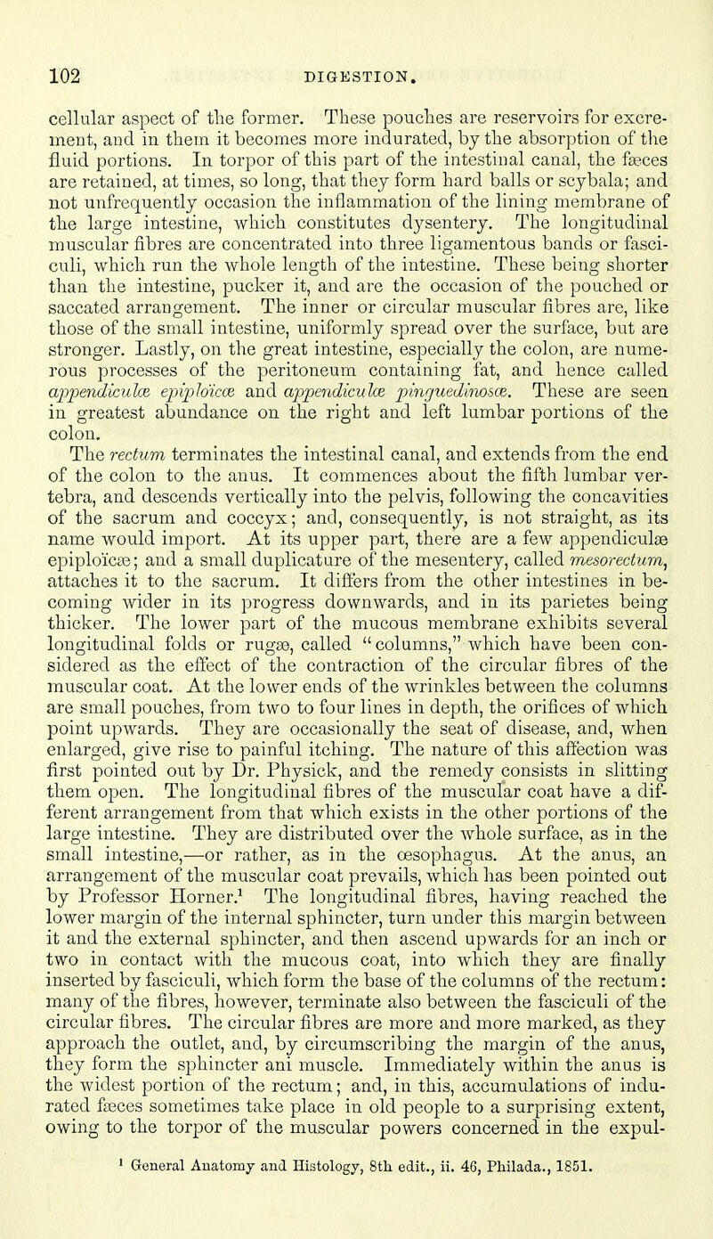 cellular aspect of tlie former. These pouches are reservoirs for excre- ment, aud in them it becomes more indurated, by the absorption of the fluid portions. In torpor of this part of the intestinal canal, the faeces are retained, at times, so long, that they form hard balls or scybala; and not unfrequently occasion the inflammation of the lining membrane of the large intestine, which constitutes dysentery. The longitudinal muscular fibres are concentrated into three ligamentous bands or fasci- culi, which run the whole length of the intestine. These being shorter than the intestine, pucker it, and are the occasion of the pouched or saccated arrangement. The inner or circular muscular fibres are, like those of the small intestine, uniformly spread over the surface, but are stronger. Lastly, on the great intestine, especially the colon, are nume- rous processes of the peritoneum containing fat, and hence called appendiculce epipldicoe. and a2:)pendiculce pinguedinosce. These are seen in greatest abundance on the right and left lumbar portions of the colon. The rectum terminates the intestinal canal, and extends from the end of the colon to the anus. It commences about the fifth lumbar ver- tebra, and descends vertically into the pelvis, following the concavities of the sacrum and coccyx; and, consequently, is not straight, as its name would import. At its upper part, there are a few appendiculse epiploica^; and a small duplicature of the mesentery, called mesorecium, attaches it to the sacrum. It differs from the other intestines in be- coming wider in its progress downwards, and in its parietes being thicker. The lower part of the mucous membrane exhibits several longitudinal folds or ruga3, called  columns, which have been con- sidered as the effect of the contraction of the circular fibres of the muscular coat. At the lower ends of the wrinkles between the columns are small pouches, from two to four lines in depth, the orifices of which point upwards. They are occasionally the seat of disease, and, when, enlarged, give rise to painful itching. The nature of this affection was first pointed out by Dr. Physick, and the remedy consists in slitting them open. The longitudinal fibres of the muscular coat have a dif- ferent arrangement from that which exists in the other portions of the large intestine. They are distributed over the Avhole surface, as in the small intestine,—or rather, as in the oesophagus. At the anus, an arrangement of the muscular coat prevails, which has been pointed out by Professor Horner.'- The longitudinal fibres, having reached the lower margin of the internal sphincter, turn under this margin between it and the external sphincter, and then ascend upwards for an inch or two in contact with the mucous coat, into which they are finally inserted by fasciculi, which form the base of the columns of the rectum: many of the fibres, however, terminate also between the fasciculi of the circular fibres. The circular fibres are more and more marked, as they approach the outlet, and, by circumscribing the margin of the anus, they form the sj^hincter ani muscle. Immediately within the anus is the widest portion of the rectum; and, in this, accumulations of indu- rated fasces sometimes take place in old people to a surprising extent, owing to the torpor of the muscular powers concerned in the expul- ' General Anatomy and Histology, Stli edit., ii. 46, Pliilada., 1851.