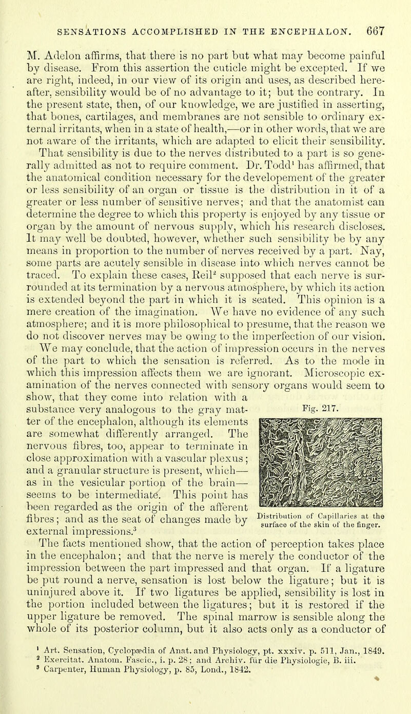 M. Adelon affirms, that there is no part but what may become painful by disease. From this assertion the cuticle might be excepted. If we are right, indeed, in our view of its origin and uses, as described here- after, sensibility would bo of no advantage to it; but the contrary. In the present state, then, of our knowledge, we are justified in asserting, that bones, cartilages, and membranes are not sensible to ordinary ex- ternal irritants, when in a state of health,—or in other words, that we are not aware of the irritants, which are adapted to elicit their sensibility. That sensibility is due to the nerves distributed to a part is so gene- rally admitted as not to require comment. Dr. Todd' has affirmed, that the anatomical condition necessary for the developement of the greater or less sensibility of an organ or tissue is the distribution in it of a greater or less number of sensitive nerves; and that the anatomist can determine the degree to which this property is enjoyed by any tissue or organ by the amount of nervous supply, which his research discloses. It may well be doubted, however, whether such sensibility be by any means in proportion to the number of nerves received by a part. Nay, some parts are acutely sensible in disease into which nerves cannot be traced. To explain these cases, EeiP supposed that each nerve is sur- rounded at its termination by a nervous atmosphere, by which its action is extended beyond the part in which it is seated. This opinion is a mere creation of the imagination. We have no evidence of any such atmosphere; and it is more philosophical to presume, that the reason we do not discover nerves may be owing to the imperfection of our vision. We may conclude, that the action of impression occurs in the nerves of the part to which the sensation is referred. As to the mode in which this impression affects them we are ignorant. Microscopic ex- amination of the nerves connected with sensory organs would seem to show, that they come into relation with a substance very analogous to the gray mat- ter of the encephalon, although its elements are somewhat differently arranged. The nervous fibres, too, appear to terminate in close approximation with a vascular plexus ; and a granular structure is present, which— as in the vesicular portion of the brain— seems to be intermediate. This point has been regarded as the origin of the afferent fibres; and as the seat of changes made by distribution of Oapiiunes at the ' . . , surlace oi tiie skin ul the finger. external impressions.-* The facts mentioned show, that the action of perception takes place in the encephalon; and that the nerve is merely the conductor of the impression between the part impressed and that organ. If a ligature be put round a nerve, sensation is lost below the ligature; but it is uninjured above it. If two ligatures be applied, sensibility is lost in the portion included between the ligatures; but it is restored if the upper ligature be removed. The spinal marrow is sensible along the whole of its posterior col imn, but it also acts only as a conductor of ' Art. Sensation, Cyclopaedia of Anat. and Physiology, pt. xxxiv. p. 511, ' Exercitat. Anatom. Fascio., i. p. 28; and Arcliiv. fiir die Pliysiologie, B ' Carpenter, Human Physiology, p. 85, Lond., 1842. 511, Jan., 1849. 111.