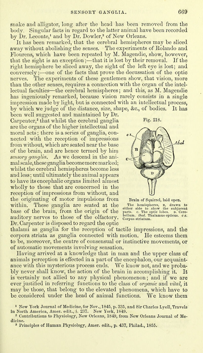 Fig. 218. tLal snake and alligator, long after the head has been removed from the body,, Singular facts in regard to the latter animal have been recorded by Dr. Leconte,' and by Dr. Dowler,^ of New Orleans. It has been remarked, that the cerebral hemispheres may be sliced away without abolishing the senses. The experiments of Rolando and Flourens, which have been repeated by M. Magendie, show, however, that the sight is an exception ;—that it is lost by their removal. If the right hemisphere be sliced away, the sight of the left eye is lost; and conversely;—one of the facts that prove the decussation of the optic nerves. The experiments of these gentlemen show, that vision, more than the other senses, requires a connection with the organ of the intel- lectual faculties—the cerebral hemispheres; and this, as M. Magendie has ingeniously remarked, because vision rarely consists in a single impression made by light, but is connected with an intellectual process, by which we judge of the distance, size, shape, &c., of bodies. It has been well suggested and maintained by Dr. Carpenter,^ that whilst the cerebral ganglia are the organs of the higher intellectual and moral acts; there is a series of ganglia, con- nected with the reception of impressions froin without, which are seated near the base of the brain, and are hence termed by him sensory ganglia. As we descend in the ani- mal scale, these ganglia become more marked; whilst the cerebral hemispheres become less and less; until ultimately the animal appears to have its encephalic organs limited almost wholly to those that are concerned in the reception of impressions from without, and the originating of motor impulsions fi-om within. These ganglia are seated at the base of the brain, from the origin of the auditory nerves to those of the olfactory. Dr. Carpenter is disposed to regard the optic thalami as ganglia for the reception of tactile impressions, and the corpora striata as ganglia connected with motion. He esteems them to be, moreover, the centre of consensual or instinctive movements, or of automatic movements involving sensation. Having arrived at a knowledge that in man and the upper class of animals perception is efiected in a part of the encephalon, our acquaint- ance with this mysterious process ends. We know not, and we proba- bly never shall know, the action of the brain in accomplishing it. It is certainly not allied to any physical phenomenon; and if we are ever justified in referring functions to the class of organic and vital, it may be those, that belong to the elevated phenomena, which have to be considered under the head of animal functions. We know them Brain of Squirrel, laid open. The hemispheres, B, drawn to either side to show the subjacent parts, c. The optic lobes. D. Cere- bellum, thai. Thalamus opticus, c s. Corpus striatum. ' New York Joitrnal of Medicine, for Nov., 1845, p. 335, and Sir Charles Lyell, Travels in North America, Amer. edit., i. 237. New York, 1849. 2 Contributions to Physiology, New Orleans, 1849, from New Orleans Journal of Me- dicine. * Principles of Human Physiology, Amer. edit., p. 437, Philad., 1855.