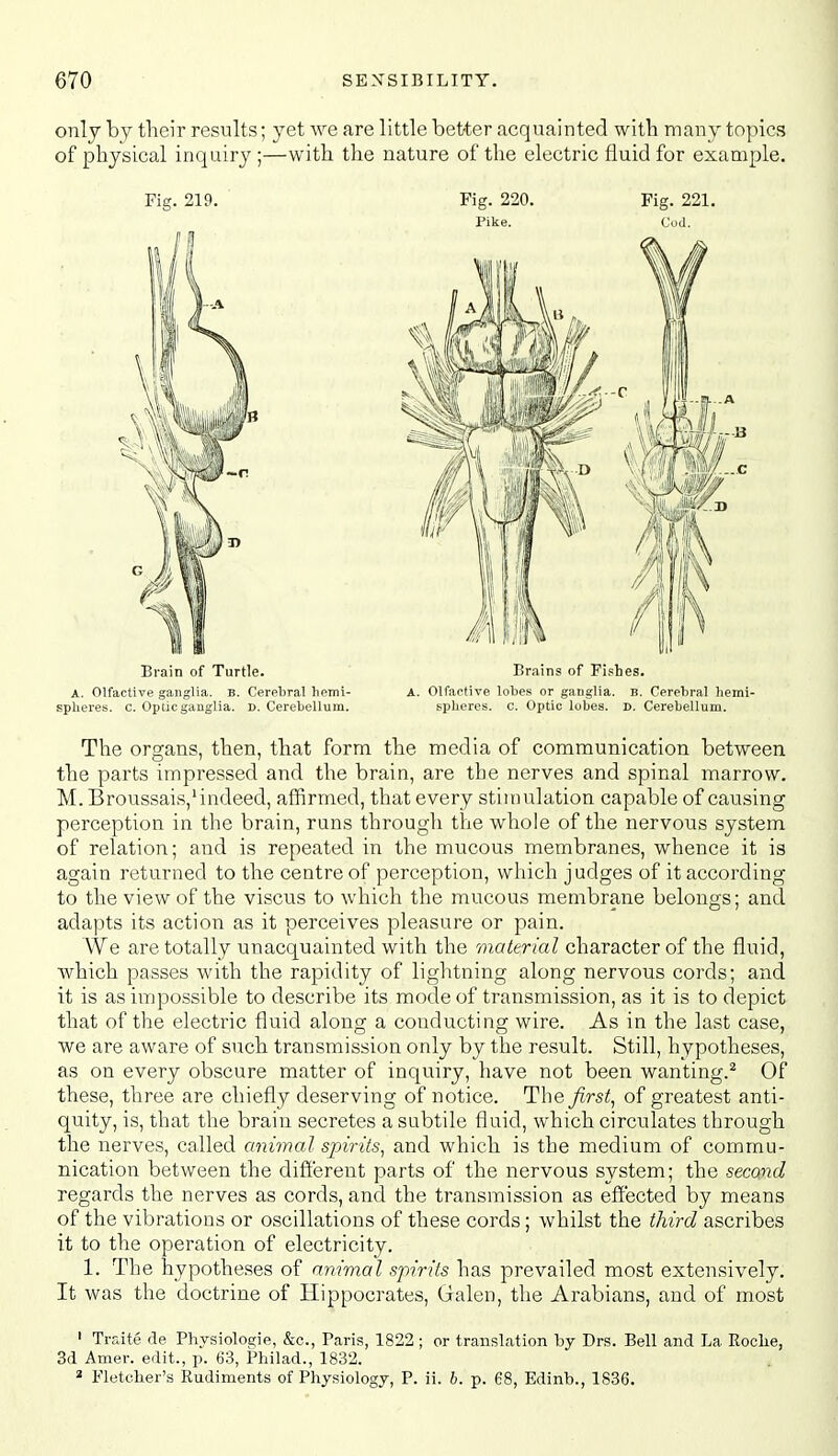 only by their results; yet we are little better acquainted with many topics of physical inquiry ;—with the nature of the electric fluid for example. Fig. 219. Fig. 220. Fig. 221. Brain of Turtle. Brains of Fishes. A. Olfactive ganglia. B. Cerebral hemi- A. Olfactive lolies or ganglia. B. Cerebral hemi- spheres, c. Optic ganglia. D. Cerebellum. spheres, c. Optic lobes. D. Cerebellum. The organs, then, that form the media of communication between the parts impressed and the brain, are the nerves and spinal marrow. M. Broussais,'indeed, affirmed, that every stimulation capable of causing perception in the brain, runs through the whole of the nervous system of relation; and is repeated in the mucous membranes, whence it is again returned to the centre of perception, which judges of it according to the view of the viscus to which the mucous membrane belongs; and adapts its action as it perceives pleasure or pain. We are totally unacquainted with the material character of the fluid, which passes with the rapidity of lightning along nervous cords; and it is as impossible to describe its mode of transmission, as it is to depict that of the electric fluid along a conducting wire. As in the last case, we are aware of such transmission only by the result. Still, hypotheses, as on every obscure matter of inquiry, have not been wanting.^ Of these, three are chiefly deserving of notice. Tlie first^ of greatest anti- quity, is, that the brain secretes a subtile fluid, which circulates through the nerves, called animal spirits^ and which is the medium of commu- nication between the different parts of the nervous system; the second regai'ds the nerves as cords, and the transmission as effected by means of the vibrations or oscillations of these cords; whilst the third ascribes it to the operation of electricity. 1. The hypotheses of animal spirits has prevailed most extensively. It was the doctrine of Hippocrates, Galen, the Arabians, and of most ' Traite de Pliysiologie, &c., Paris, 1822 ; or translation by Drs. Bell and La Roche, 3d Amer. edit., p. 63, Philad., 1832. 2 Fletcher's Rudiments of Physiology, P. ii. h. p. 68, Edinb., 1836.