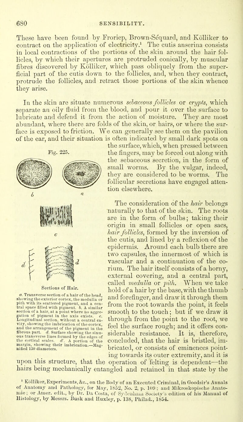 These have been found by Froriep, Brown-Suquard, and Ktilliker to contract on the application of electricity.' The cutis anserina consists in local contractions of the portions of the skin around the hair fol- licles, by which their apertures are protruded conically, by muscular fibres discovered by Ktilliker, which pass obliquely from the super- ficial part of the cutis down to the follicles, and, when they contract, protrude the follicles, and retract those portions of the skin whence they arise. In the skin are situate numerous sebaceous follicles or crypts^ which separate an oily fluid from the blood, and pour it over the surface to lubricate and defend it from the action of moisture. They are most abundant, where there are folds of the skin, or hairs, or where the sur- face is exposed to friction. We can generally see them on the pavilion of the ear, and their situation is often indicated by small dark spots on the surface, which, when pressed between the fingers, may be forced out along with the sebaceous secretion, in the form of small worms. By the vulgar, indeed, they are considered to be worms. The follicular secretions have engaged atten- tion elsewhere. Fig. 225. The consideration of the hair belongs naturally to that of the skin. The roots are in the form of bulbs; taking their origin in small follicles or open sacs, hair follicles^ formed by the inversion of the cutis, and lined by a reflexion of the epidermis. Around each bulb there are two capsules, the innermost of which is vascular and a continuation of the co- rium. The hair itself consists of a horny, external covering, and a central part, called medulla or jyith. When we take hold of a hair by the base, with the thumb and forefinger, and draw it through them from the root towards the point, it feels smooth to the touch; but if we draw it through from the point to the root, we feel the surface rough; and it offers con- siderable resistance. It is, therefore, concluded, that the hair is bristled, im- bricated, or consists of eminences point- ing towards its outer extremity, and it is upon this structure, that the o{)eration of felting is dependent—the hairs being mechanically entangled and retained in that state by the ' Kiilliker, Experiments, &c., on the Body of an Executed Criminal, in Goodsir's Annals of Anatomy and Pathology, for May, 1852, Ko. 2, p. I(i9 ; and Mikroskopische Anato- mie; or Amer. edit., by Dr. Da Costa, of Sydenham Society s edition of his Manual of Histology, by Messrs. Busk and Huxley, p.'l38, Philad., Ib54. ct Sections of Hair. a. Transverse section of a hair of the head, showing the exterior cortex, the medulla or pith with its scattered pigment, and a cen- tral space filled with pigment, b. A similar section of a hair, at a point where no aggre- gation of pigment in the axis exists, c. Longitudinal section, without a central ca- vity, showing the imhrication of the cortex, and the arrangement of the pigment in the fibrous part. d. Surface showing the sinu- ous transverse lines formed by the edges of the cortical scales, d'. A portion of the margin, showing their imbrication.—Mag- nified 150 diameters.
