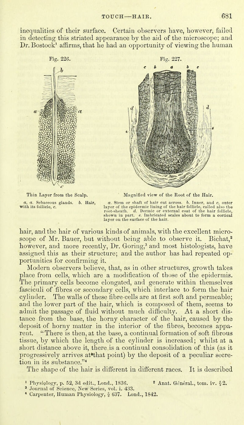 inequalities of their surface. Certain observers have, however, failed in detecting this striated appearance by the aid of the microscope; and Dr. Bostock' affirms, that he had an opportunity of viewing the human hair, and the hair of various kinds of animals, with the excellent micro- scope of Mr. Bauer, but without being able to observe it. Bichat,^ however, and more recently. Dr. Goring,^ and most histologists, have assigned this as their structure; and the author has had repeated op- portunities for confirming it. Modern observers believe, that, as in other structures, growth takes place from cells, which are a modification of those of the epidermis. The primary cells become elongated, and generate within themselves fasciculi of fibres or secondary cells, which interlace to form the hair cylinder. The walls of these fibre-cells are at first soft and permeable; and the lower part of the hair, wliich is composed of them, seems to admit the passage of fluid without much difficulty. At a short dis- tance from the base, the horny character of the hair, caused by the deposit of horny matter in the interior of the fibres, becomes appa- rent. There is then, at the base, a continual formation of soft fibrous tissue, by which the length of the cylinder is increased; whilst at a short distance above it, there is a continual consolidation of this (as it progressively arrives at*that point) by the deposit of a peculiar secre- tion in its substance.'' The shape of the hair is different in different races. It is described ' Physiology, p. 52, 3d edit., Lond., 1836. « Anat. General., torn. iv. §2. * Journal of Science, New Series, vol. i. 433. * Carpenter, Human Physiology, § 637. Lond., 1842. 1