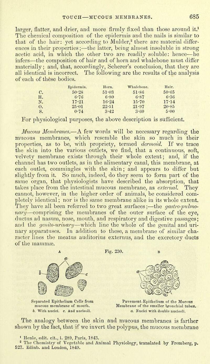 larger, flatter, and drier, and more firmly fixed than those around it.^ The chemical composition of the epidermis and the nails is similar to that of the hair: yet according to Mulder,^ there are material differ- ences in their properties;—the latter, being almost insoluble in strong acetic acid, in which the other two are readily soluble: hence—he infers—the composition of hair and of horn and whalebone must differ materially; and, that, accordingly, Scherer's conclusion, that they are all identical is incorrect. The following are the results of the analysis of each of these bodies. Epidermis. Horn. Whalebone. Hair. c. 50-28 51-03 51-86 50-65 H. 6-76 6-80 6-87 6-36 N. 17-21 16-24 15-70 17-14 0. 25-01 22-51 21-97 20-85 s. 0-74 3-42 3-60 5-00 For physiological purposes, the above description is sufficient. Mucous Memhranes.—A few words will be necessary regarding the mucous membranes, which resemble the skin so much in their properties, as to be, Avith propriety, termed dermoid. If we trace the skin into the various outlets, we find, that a continuous, soft, velvety membrane exists through their whole extent; and, if the channel has two outlets, as in the alimentary canal, this membrane, at each outlet, commingles with the skin; and appears to differ iDut slightly from it. So much, indeed, do they seem to form part of the same organ, that physiologists have described the absorption, that takes place from the intestinal mucous membrane, as external. They cannot, however, in the higher order of animals, be considered com- pletely identical; nor is the same membrane alike in its whole extent. They have all been referred to two great surfaces;—the gastro-pulmo- narii—comprising the membranes of the outer surface of the eye, ductus ad nasum, nose, mouth, and respiratory and digestive passages; and the genilo-urinary—which line the whole of the genital and uri- nary apparatuses. In addition to these, a membrane of similar cha- racter lines the meatus auditorius externus, and the excretory ducts of the mamma3. A Fig. 230. B Separated Epithelium Cells from mucous membrane of mouth. 6. With nuclei, c. And nucleoli. Pavement-Epithelium of the Mucous Membrane of the smaller bronchial tubes. a. Nuclei with double nucleoli. The analogy between the skin and mucous membranes is farther shown by the fact, that if Ave invert the polypus, the mucous membrane ' Henle, edit, cit., i. 289, Paris, 1843. The Chemistry of Vegetable and Animal Physiology, translated by Fromberg, p. 527. Edinb. and London, 1849.