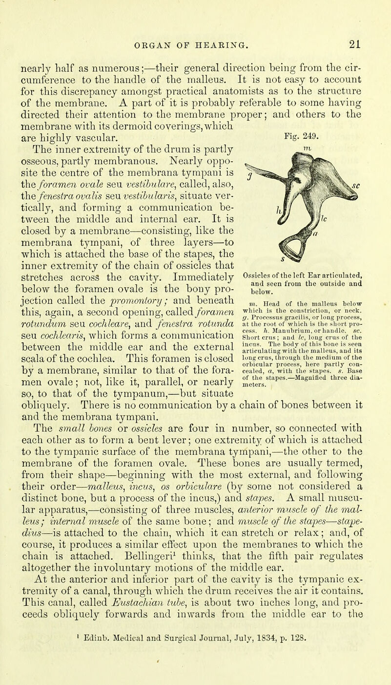 Fig. 249. nearly half as numerous;—their general direction being from the cir- cumference to the handle of the malleus. It is not easy to account for this discrepancy amongst practical anatomists as to the structure of the membrane. A part of it is probably referable to some having directed their attention to the membrane proper; and others to the membrane with its dermoid coverings, which are highly vascular. The inner extremity of the drum is partly osseous, partly membranous. Nearly oppo- site the centre of the membrana tympani is the foramen ovale seu vestibulare, called, also, the fenestra ovalis sen vestibularis, situate ver- tically, and forming a communication be- tween the middle and internal ear. It is closed by a membrane—consisting, like the membrana tympani, of three layers—to which is attached the base of the stapes, the inner extremity of the chain of ossicles that stretches across the cavity. Immediately below the foramen ovale is the bony pro- jection called the promontory; and beneath this, again, a second opening, called foramen rotundum seu cochleare, and fenestra rotunda seu cochlearis, which forms a communication between the middle ear and the external scala of the cochlea. This foramen is closed by a membrane, similar to that of the fora- men ovale; not, like it, parallel, or nearly so, to that of the tympanum,—but situate obliquely. There is no communication by a chain of bones between it and the membrana tympani. The small bones or ossicles are four in number, so connected with each other as to form a bent lever; one extremity of which is attached to the tympanic surface of the membrana tympani,—the other to the membrane of the foramen ovale. These bones are usually termed, from their shape—beginning with the most external, and following their order—malleus, incus, os orbiculare (by some not considered a distinct bone, but a process of the incus,) and stapes. A small muscu- lar apparatus,—consisting of three muscles, anterior muscle of the mal- leus; internal muscle of the same bone; and muscle of the stapes—stape- dius—is attached to the chain, which it can stretch or relax; and, of course, it produces a similar effect upon the membranes to which the chain is attached. Bellingeri1 thinks, that the fifth pair regulates altogether the involuntary motions of the middle ear. At the anterior and inferior part of the cavity is the tympanic ex- tremity of a canal, through which the drum receives the air it contains. This canal, called Eustachian tube, is about two inches long, and pro- ceeds obliquely forwards and inwards from the middle ear to the Ossicles of the left Ear articulated, and seen from the outside and below. m. Head of the malleus below which is the constriction, or neck. g. Processus gracilis, or long process, at the root of which is the short pro- cess, h. Manubrium, or handle, sc. Short cms ; and Ic, long crus of the incus. The body of this bone is seen articulating with the malleus, and its long crus, through the medium of the orbicular process, here partly con- cealed, a, with the stapes. s. Base of the stapes.—Magnified three dia- meters. 1 Edinb. Medical and Surgical Journal, July, 1834, p. 128.