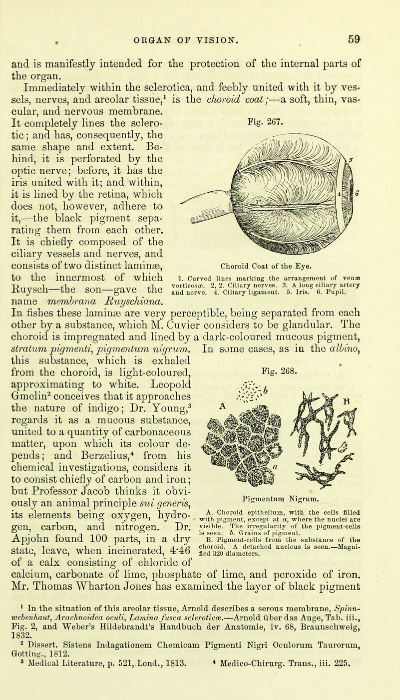 Choroid Coat of the Eye. 1. Curved lines marking the arrangement of venae vorticosae. 2, 2. Ciliary nerves. 3. A long ciliary artery and nerve. 4. Ciliary ligament. 5. Iris. 6. Pupil. and is manifestly intended for the protection of the internal parts of the organ. Immediately within the sclerotica, and feebly united with it by ves- sels, nerves, and areolar tissue,1 is the choroid coat;—a soft, thin, vas- cular, and nervous membrane. It completely lines the sclero- Fig- 267- tic; and has, consequently, the same shape and extent. Be- hind, it is perforated by the optic nerve; before, it has the iris united with it; and within, it is lined by the retina, which does not, however, adhere to it,—the black pigment sepa- rating them from each other. It is chiefly composed of the ciliary vessels and nerves, and consists of two distinct laminas, to the innermost of which Ruysch—the son—gave the name membrana Ruyschiana. In fishes these laminae are very perceptible, being separated from each other by a substance, which M. Cuvier considers to be glandular. The choroid is impregnated and lined by a dark-coloured mucous pigment, stratum pigmenti, pigmentum nigrum. In some cases, as in the albino, this substance, which is exhaled from the choroid, is light-coloured, approximating to white. Leopold Gmelin2 conceives that it approaches the nature of indigo; Dr. Young,3 regards it as a mucous substance, united to a quantity of carbonaceous matter, upon which its colour de- pends ; and Berzelius,4 from his chemical investigations, considers it to consist chiefly of carbon and iron; but Professor Jacob thinks it obvi- ously an animal principle sui generis, its elements being oxygen, hydro- gen, carbon, and nitrogen. Dr. Apjohn found 100 parts, in a dry state, leave, when incinerated, 4*46 of a calx consisting of chloride of calcium, carbonate of lime, phosphate of lime, and peroxide of iron. Mr. Thomas AVharton Jones has examined the layer of black pigment 1 In the situation of this areolar tissue, Arnold describes a serous membrane, Spinn- webenhaut, Arachnoidea oculi, Lamina fusca sclerotica?.—Arnold iiber das Auge, Tab. iii., Fig. 2, and Weber's Hildebrandt's Handbuch der Anatomie, iv. 68, Braunschweig, 1832. 2 Dissert. Sistens Indagationem Chemicam Pigmenti Nigri Oculorum Taurorum, Gotting., 1812. 3 Medical Literature, p. 521, Lond., 1813. 4 Medico-Chirurg. Trans., iii. 225. Pigraentum Nigrum. A. Choroid epithelium, with the cells filled with pigment, except at a, where the nuclei are visible. The irregularity of the pigment-cells is seen. 6. Grains of pigment. B. Pigment-cells from the substance of the choroid. A detached nucleus is seen.—Magni- fied 320 diameters.