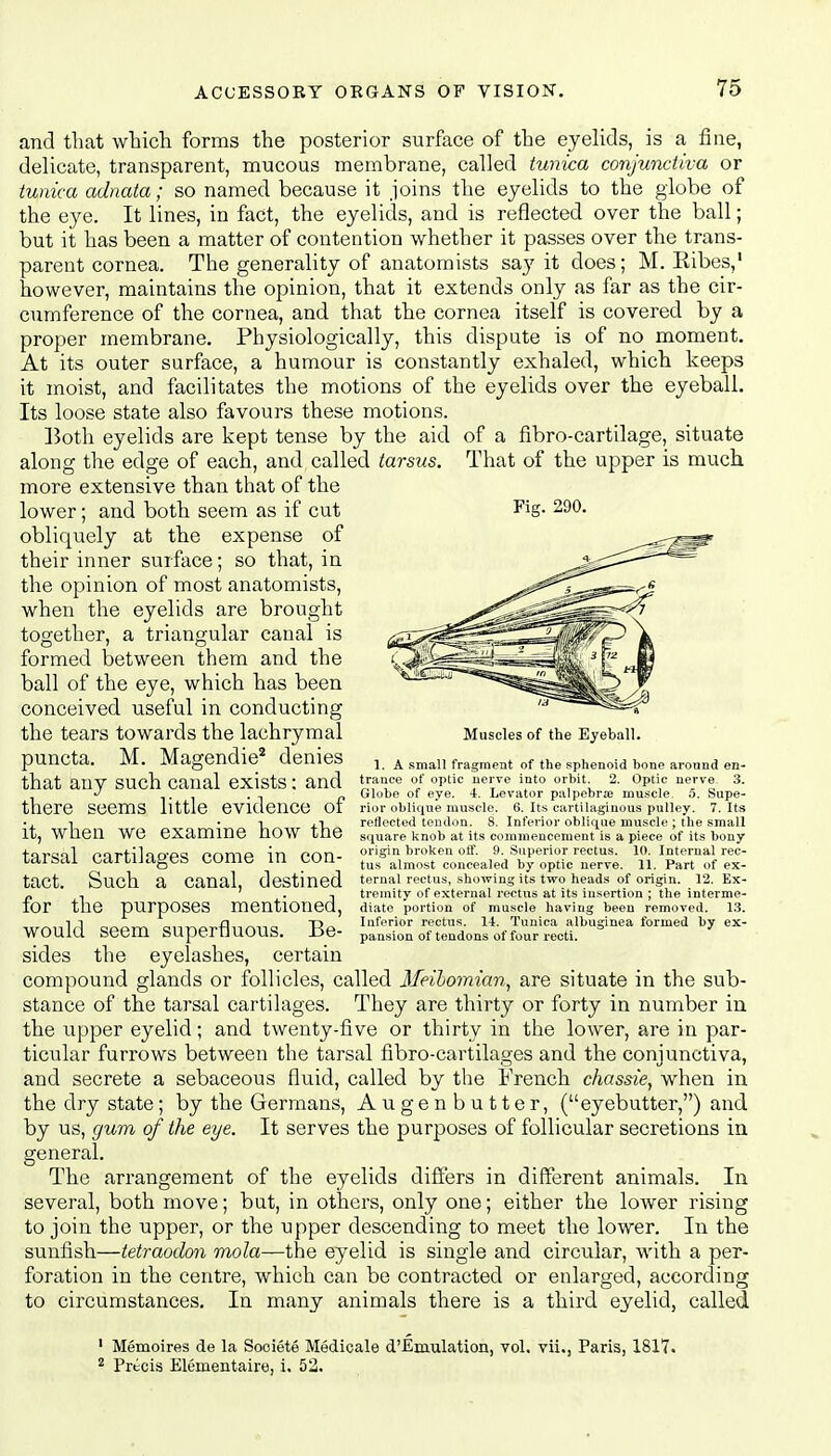 and that which forms the posterior surface of the eyelids, is a fine, delicate, transparent, mucous membrane, called tunica conjunctiva or tunica adnata; so named because it joins the eyelids to the globe of the eye. It lines, in fact, the eyelids, and is reflected over the ball; but it has been a matter of contention whether it passes over the trans- parent cornea. The generality of anatomists sa}7 it does; M. Kibes,1 however, maintains the opinion, that it extends only as far as the cir- cumference of the cornea, and that the cornea itself is covered by a proper membrane. Physiologically, this dispute is of no moment. At its outer surface, a humour is constantly exhaled, which keeps it moist, and facilitates the motions of the eyelids over the eyeball. Its loose state also favours these motions. Both eyelids are kept tense by the aid of a fibro-cartilage, situate along the edge of each, and called tarsus. That of the upper is much more extensive than that of the lower; and both seem as if cut obliquely at the expense of their inner surface; so that, in the opinion of most anatomists, when the eyelids are brought together, a triangular canal is formed between them and the ball of the eye, which has been conceived useful in conducting the tears towards the lachrymal puncta. M. Magendie2 denies that any such canal exists: and there seems little evidence of it, when we examine how the tarsal cartilages come in con- tact. Such a canal, destined for the purposes mentioned, would seem superfluous. Be- sides the eyelashes, certain compound glands or follicles, called Meibomian, are situate in the sub- stance of the tarsal cartilages. They are thirty or forty in number in the upper eyelid; and twenty-five or thirty in the lower, are in par- ticular furrows between the tarsal fibro-cartilages and the conjunctiva, and secrete a sebaceous fluid, called by the French chassie, when in the dry state; by the Germans, Augenbutter, (eyebutter,) and by us, gum of the eye. It serves the purposes of follicular secretions in o;eneral. The arrangement of the eyelids differs in different animals. In several, both move; but, in others, only one; either the lower rising to join the upper, or the upper descending to meet the lower. In the sunfish—tetraodon mola—the eyelid is single and circular, with a per- foration in the centre, which can be contracted or enlarged, according to circumstances. In many animals there is a third eyelid, called 1 Memoires de la Sooiete Medicale d'Emulation, vol, vii., Paris, 1817. 2 Precis Elementaire, i. 52. Fig. 290. Muscles of the Eyeball. 1. A small fragment of the sphenoid bone around en- trance of optic nerve into orbit. 2. Optic nerve. 3. Globe of eye. 4. Levator palpebral muscle. 5. Supe- rior oblique muscle. 6. Its cartilaginous pulley. 7. Its reflected tendon. 8. Inferior oblique muscle ; the small square knob at its commencement is a piece of its bony origin broken off. 9. Superior rectus. 10. Internal rec- tus almost concealed by optic nerve. 11. Part of ex- ternal rectus, showing its two heads of origin. 12. Ex- tremity of external rectus at its insertion ; the interme- diate portion of muscle having been removed. 13. Inferior rectus. 14. Tunica albuginea formed by ex- pansion of tendons of four recti.