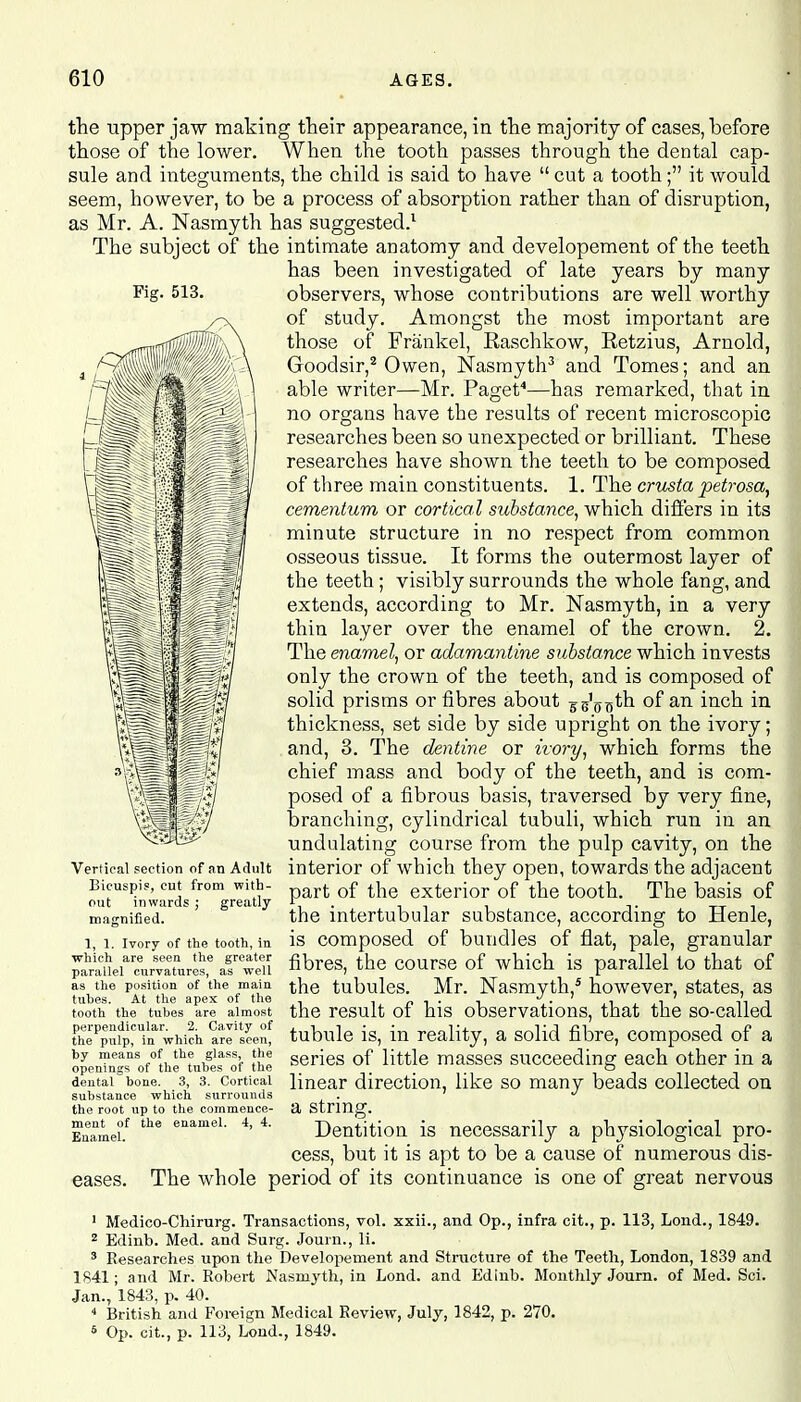 Fig. 513. the upper jaw making their appearance, in the majority of cases, before those of the lower. When the tooth passes through the dental cap- sule and integuments, the child is said to have  cut a tooth; it would seem, however, to be a process of absorption rather than of disruption, as Mr. A. Nasmyth has suggested.1 The subject of the intimate anatomy and developement of the teeth has been investigated of late years by many observers, whose contributions are well worthy of study. Amongst the most important are those of Frankel, Raschkow, Retzius, Arnold, Goodsir,2 Owen, Nasmyth3 and Tomes; and an able writer—Mr. Paget4—has remarked, that in no organs have the results of recent microscopic researches been so unexpected or brilliant. These researches have shown the teeth to be composed of three main constituents. 1. The crusta petrosa, cementum or cortical substance, which differs in its minute structure in no respect from common osseous tissue. It forms the outermost layer of the teeth; visibly surrounds the whole fang, and extends, according to Mr. Nasmyth, in a very thin layer over the enamel of the crown. 2. The enamel, or adamantine substance which invests only the crown of the teeth, and is composed of solid prisms or fibres about ^sV^h. of an inch in thickness, set side by side upright on the ivory; and, 3. The dentine or ivory, which forms the chief mass and body of the teeth, and is com- posed of a fibrous basis, traversed by very fine, branching, cylindrical tubuli, which run in an undulating course from the pulp cavity, on the interior of which they open, towards the adjacent part of the exterior of the tooth. The basis of the intertubular substance, according to Henle, is composed of bundles of flat, pale, granular fibres, the course of which is parallel to that of the tubules. Mr. Nasmyth,5 however, states, as the result of his observations, that the so-called tubule is, in reality, a solid fibre, composed of a series of little masses succeeding each other in a linear direction, like so many beads collected on Vertical section of an Adult Bieuspis, cut from with- out inwards ; greatly magnified. 1, 1. Ivory of the tooth, in which are seen the greater parallel curvatures, as well as the position of the main tubes. At the apex of the tooth the tubes are almost perpendicular. 2. Cavity of the pulp, in which are seen, by means of the glass, the openings of the tubes of the dental bone. 3, 3. Cortical substance which surrounds the root up to the commence- a String. Enameu tiie enameL 4' 4' Dentition eases. is necessarily a physiological pro- cess, but it is apt to be a cause of numerous dis- The whole period of its continuance is one of great nervous 1 Medico-Chirurg. Transactions, vol. xxii., and Op., infra cit., p. 113, Lond., 1849. 2 Edinb. Med. and Surg. Journ., li. 3 Researches upon the Developement and Structure of the Teeth, London, 1839 and 1841; and Mr. Robert Nasmyth, in Lond. and Edinb. Monthly Journ. of Med. Sci. Jan., 1843, p. 40. 4 British and Foreign Medical Review, July, 1842, p. 270. s Op. cit., p. 113, Lond., 1849.