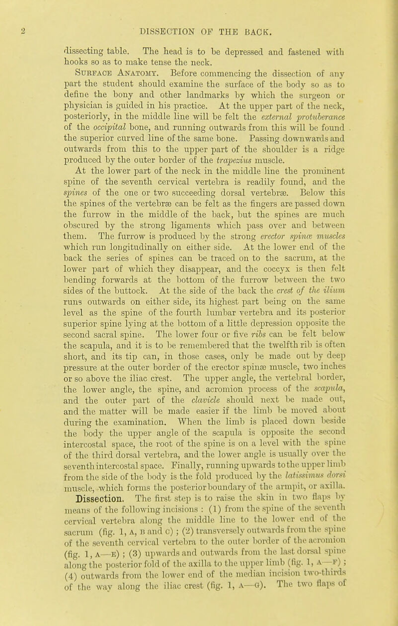 dissecting table. The head is to be depressed and fastened with hooks so as to make tense the neck. Surface Anatomy. Before commencing the dissection of any part the student should examine the surface of the body so as to define the bony and other landmarks by which the surgeon or physician is guided in his practice. At the upper part of the neck, posteriorly, in the middle line wiU be felt the external protuberance of the occipital bone, and running outwards from this will be found the superior curved line of the same bone. Passing downiwards and outwards from this to the upper part of the shoulder is a ridge produced by the outer border of the trapezius muscle. At the lower part of the neck in the middle line the prominent .spine of the seventh cervical vertebra is readily found, and the spines of the one or two succeeding dorsal vertebrae. Below this the spines of the vertebrae can be felt as the fingers are passed down the furrow in the middle of the back, but the spines are much obscured by the strong ligaments which pass over and between them. The furrow is produced by the strong erector spinm muscles which run lougitudinally on either side. At the lower end of the back the series of spines can be traced on to the sacrum, at the lower part of which they disappear, and the coccyx is then felt bending forwards at the bottom of the furrow between the two sides of the buttock. At the side of the back the crest of the ilium runs outwards on either side, its highest part being on the same level as the spine of the fourth liunbar vertebra and its posterior superior spine lying at the bottom of a little depression opposite the second sacral sijine. The lower four or five ribs can be felt below the scapula, and it is to be remembered that the twelfth rib is often short, and its tip can, in those cases, only be made out by deep pressure at the outer border of the erector spinre muscle, two inches or so above the iliac crest. The upper angle, the vertebral border, the lower angle, the spine, and acromion process of the scapula, and the outer part of the clavicle should next lie made out, and the matter will be made easier if the limb be moved aliout during the examination. When the limb is placed down lieside the body the upper angle of the scapula is ojiposite the second intercostal space, the root of the spine is on a level with the spine of the third dorsal vertebra, and the lower angle is usually over the seventh intercostal space. Finally, running upwards to the upper liniTi from the side of the liody is the fold produced liy the latissimus dorsi muscle, which forms the posterior boundary of the armpit, or axilla. Dissection. The first step is to raise the skin in two flaps by means of the following incisions : (1) from the spine of the seventh cervicjil vertebra along the middle line to the lower end of the sacrum (fig. 1, a, b and c); (2) transversely outwards from the spine of the seventh cervical vertebra to the outer border of the acromion (fig. 1, A—e) ; (3) upwards and outwards from the hi-st dorsal spine along the posterior fold of the axilla to the upper limb (fig. 1, a—f) ; (4) outwards from the lower end of the median incision two-thirds