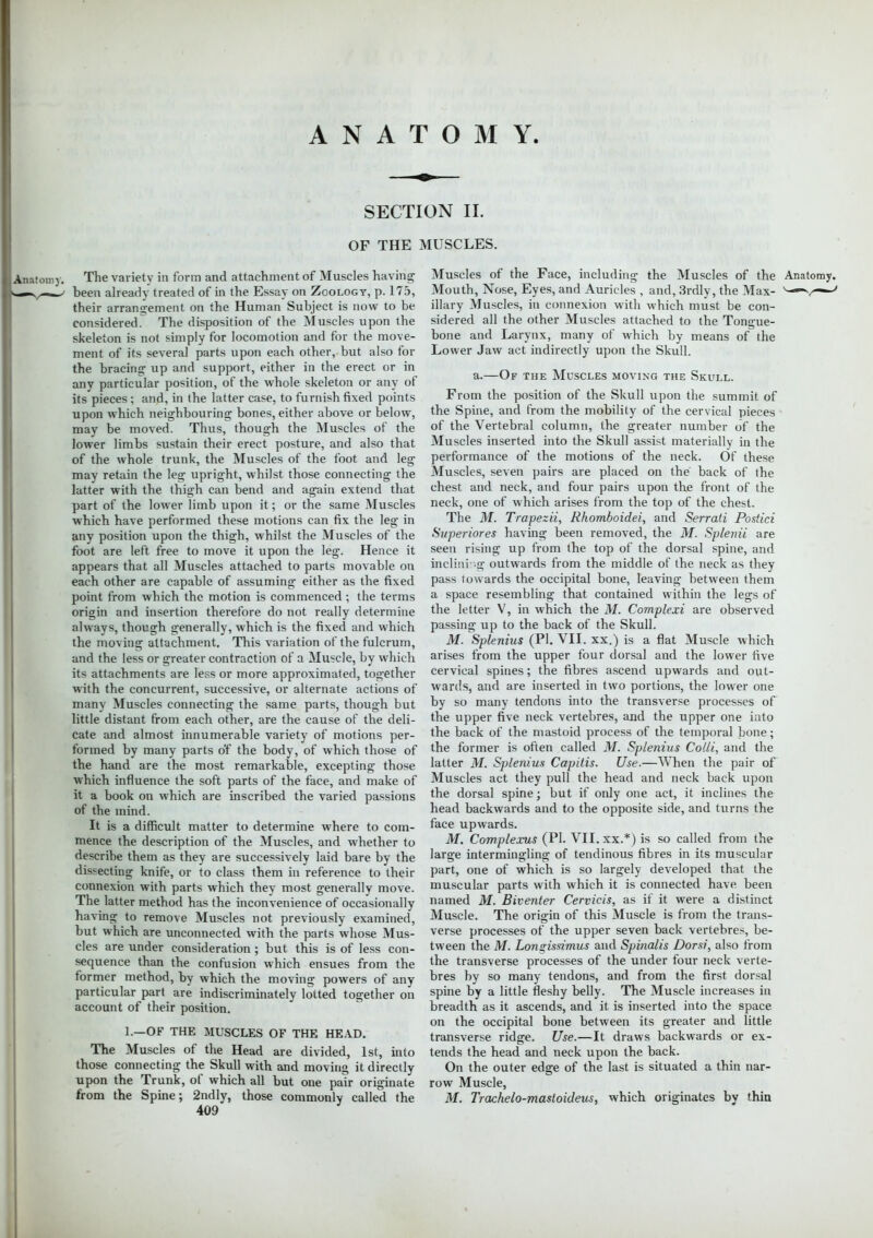 SECTION II. OF THE MUSCLES. Anatomy. The variety in form and attachment of Muscles having heen already treated of in the Essay on Zoology, p. 175, their arrangement on the Human Subject is now to be considered. The disposition of the Muscles upon the skeleton is not simply for locomotion and for the move- ment of its several parts upon each other, but also for the bracing up and support, either in the erect or in any particular position, of the whole skeleton or any of its pieces ; and, in the latter case, to furnish fixed points upon which neighbouring bones, either above or below, may be moved. Thus, though the Muscles of the lower limbs sustain their erect posture, and also that of the whole trunk, the Muscles of the foot and leg may retain the leg upright, whilst those connecting the latter with the thigh can bend and again extend that part of the lower limb upon it; or the same Muscles which have performed these motions can fix the leg in any position upon the thigh, whilst the Muscles of the foot are left free to move it upon the leg. Hence it appears that all Muscles attached to parts movable on each other are capable of assuming either as the fixed point from which the motion is commenced; the terms origin and insertion therefore do not really determine always, though generally, which is the fixed and which the moving attachment. This variation of the fulcrum, and the less or greater contraction of a Muscle, by which its attachments are less or more approximated, together with the concurrent, successive, or alternate actions of many Muscles connecting the same parts, though but little distant from each other, are the cause of the deli- cate and almost innumerable variety of motions per- formed by many parts of the body, of which those of the hand are the most remarkable, excepting those which influence the soft parts of the face, and make of it a book on which are inscribed the varied passions of the mind. It is a difficult matter to determine where to com- mence the description of the Muscles, and whether to describe them as they are successively laid bare by the dissecting knife, or to class them in reference to their connexion with parts which they most generally move. The latter method has the inconvenience of occasionally having to remove Muscles not previously examined, but which are unconnected with the parts whose Mus- cles are under consideration; but this is of less con- sequence than the confusion which ensues from the former method, by which the moving powers of any particular part are indiscriminately lotted together on account of their position. I.—OF THE MUSCLES OF THE HEAD. The Muscles of the Head are divided, 1st, into those connecting the Skull with and moving it directly upon the Trunk, of which all but one pair originate from the Spine; 2ndly, those commonly called the 409 Muscles of the Face, including the Muscles of the Anatomy. Mouth, Nose, Eyes, and Auricles , and, 3rdly, the Max- v—v^-' illary Muscles, in connexion with which must be con- sidered all the other Muscles attached to the Tongue- bone and Larynx, many of which by means of the Lower Jaw act indirectly upon the Skull. a.—Of the Muscles moving the Skull. From the position of the Skull upon the summit of the Spine, and from the mobility of the cervical pieces of the Vertebral column, the greater number of the Muscles inserted into the Skull assist materially in the performance of the motions of the neck. Of these Muscles, seven pairs are placed on the back of the chest and neck, and four pairs upon the front of the neck, one of which arises from the top of the chest. The M. Trapezii, Rhomboidei, and Serrati Postici Superiores having been removed, the M. Splenii are seen rising up from the top of the dorsal spine, and inclining outwards from the middle of the neck as they pass towards the occipital bone, leaving between them a space resembling that contained within the legs of the letter V, in which the M. Complexi are observed passing up to the back of the Skull. M. Splenitis (PI. VII. xx.) is a flat Muscle which arises from the upper four dorsal and the lower five cervical spines; the fibres ascend upwards and out- wards, and are inserted in two portions, the lower one by so many tendons into the transverse processes of the upper five neck vertebres, and the upper one into the back of the mastoid process of the temporal bone; the former is often called M. Splenitis Colli, and the latter M. Splenius Capitis. Use.—When the pair of Muscles act they pull the head and neck back upon the dorsal spine • but if only one act, it inclines the head backwards and to the opposite side, and turns the face upwards. M. Complexus (PI. VII. xx.*) is so called from the large intermingling of tendinous fibres in its muscular part, one of which is so largely developed that the muscular parts with which it is connected have been named M. Biventer Ceroids, as if it were a distinct Muscle. The origin of this Muscle is from the trans- verse processes of the upper seven back vertebres, be- tween the M. Longissimus and Spinalis Dorsi, also from the transverse processes of the under four neck verte- bres by so many tendons, and from the first dorsal spine by a little fleshy belly. The Muscle increases in breadth as it ascends, and it is inserted into the space on the occipital bone between its greater and little transverse ridge. Use.—It draws backwards or ex- tends the head and neck upon the back. On the outer edge of the last is situated a thin nar- row Muscle, M. Trachelo-mastoideus, which originates by thin