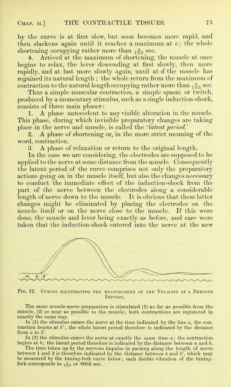 by the curve is at first slow, but soon becomes more rapid, and then slackens again until it reaches a maximum at c; the whole shortening occupying rather more than ^^tt ^^c. 4. Arrived at the maximum of shortening, the muscle at once begins to relax, the lever descending at first slowly, then more rapidly, and at last more slowly again, until at d the muscle has regained its natural length ; the whole return from the maximum of contraction to the natural length occupying rather more than y§(^ sec. Thus a simple muscular contraction, a simple spasm or twitch, produced by a momentary stimulus, such as a single induction-shock, consists of three main phases: 1. A phase antecedent to any visible alteration in the muscle. This phase, during which invisible preparatory changes are taking place in the nerve and muscle, is called the 'latent period.' 2. A phase of shortening or, in the more strict meaning of the word, contraction. 3. A phase of relaxation or return to the original length. In the case we are considering, the electrodes are supposed to be applied to the nerve at some distance from the muscle. Consequently the latent period of the curve comprises not only the preparatory actions going on in the muscle itself, but also the changes necessary to conduct the immediate effect of the induction-shock from the part of the nerve between the electrodes along a considerable length of nerve down to the muscle. It is obvious that these latter Ohanges might be eliminated by placing the electrodes on the muscle itself or on the nerve close to the muscle. If this were done, the muscle and lever being exactly as before, and care were taken that the induction-shock entered into the nerve at the new Fig. 12. Curves illustrating the measdreiient of the Velocity or a Nervous Impulse. The same muscle-nerve preparation is stimulated (1) as far as possible from the muscle, (2) as near as possible to the muscle; both contractions are registered in exactly the same way. In (1) the stimulus enters the nerve at the time indicated by the line a, the con- traction begins at b'; the whole latent period therefore is indicated by the distance from a to b'. In (2) the stimulus enters the nerve at exactly the same time a ; the contraction begins at b; the latent period therefore is indicated by the distance between a and b. The time taken up by the nervous impulse in passing along the length of nerve between 1 and 2 is therefore indicated by the distance between 6 and ?/, which may be measured by the tuning-fork curve below; each double vibration of the tuning- fork corresponds to Yits or '0083 see.