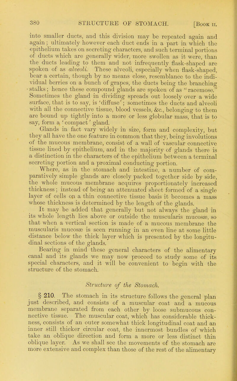 into smaller ducts, and this division may be repeated again and again; ultimately however each duct ends in a part in which the epithelium takes on secreting characters, and such terminal portions of ducts which are generally wider, more swollen as it were, than the ducts leading to them and not infrequently flask-shaped are spoken of as alveoli. These alveoli, especially when flask-shaped, bear a certain, though by no means close, resemblance to the indi- vidual berries on a bunch of grapes, the ducts being the branching • stalks; hence these compound glands are spoken of as  racemose. Sometimes the gland in dividing spreads out loosely over a wide surface, that is to say, is 'diffuse'; sometimes the ducts and alveoli with all the connective tissue, blood vessels, &c., belonging to them are bound up tightly into a more or less globular mass, that is to say, form a ' compact' gland. Glands in fact vary widely in size, form and complexity, but they all have the one feature in common that they, being involutions of the mucous membrane, consist of a wall of vascular connective tissue lined by epithelium, and in the majority of glands there is a distinction in the characters of the epithelium between a terminal secreting portion and a proximal conducting portion. Where, as in the stomach and intestine, a number of com- paratively simple glands are closely packed together side by side, the whole mucous membrane acquires proportionately increased thickness; instead of being an attenuated sheet formed of a single layer of cells on a thin connective tissue basis it becomes a mass whose thickness is determined by the length of the glands. It may be added that generally but not always the gland in its whole length lies above or outside the muscularis mucosae, so that when a vertical section is made of a mucoiis membrane the muscularis mucosae is seen running in an even line at some little distance below the thick layer which is presented by the longitu- dinal sections of the glands. Bearing in mind these general characters of the alimentary canal and its glands we may now proceed to study some of its special characters, and it will be convenient to begin with the structure of the stomach. Structttre of the Stomach. § 210. The stomach in its structure follows the general plan just described, and consists of a muscular coat and a mucous membrane separated from each other by loose submucous con- nective tissue. The muscular coat, which has considerable thick- ness, consists of an outer somewhat thick longitudinal coat and an inner still thicker circular coat, the innermost bundles of which take an oblique direction and form a more or less distinct thin oblique layer. As we shall see the movements of the stomach are more extensive and complex than those of the rest of the alimentary